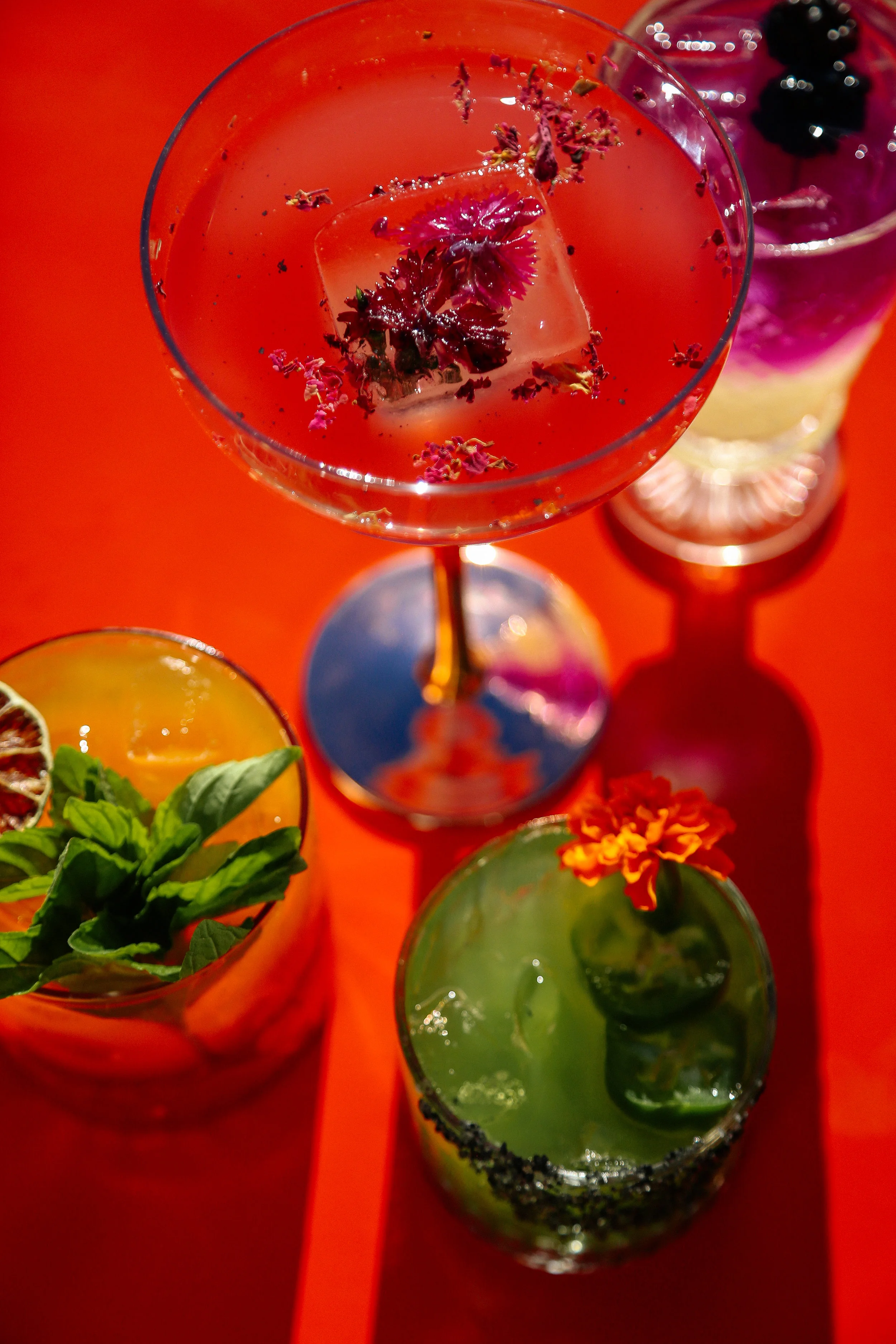 the-hatch-cocktail-truck-kendra-aronson-346.jpg
