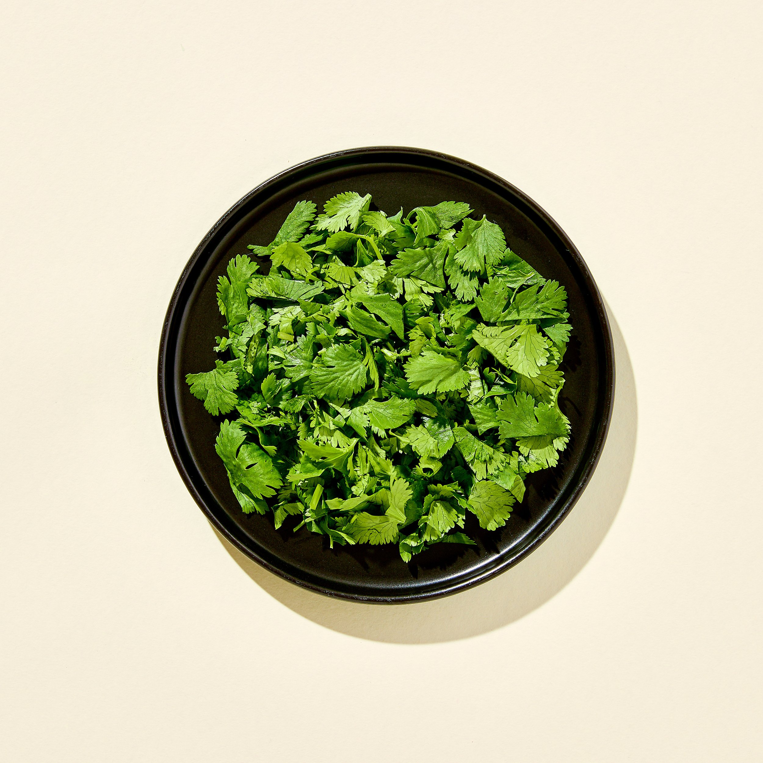 Cilantro-Food-Stylist-Drink-Stylist-Tabletop-Prop-Stylist-Los-Angeles-San-Francisco-Kendra-Aronso.jpg