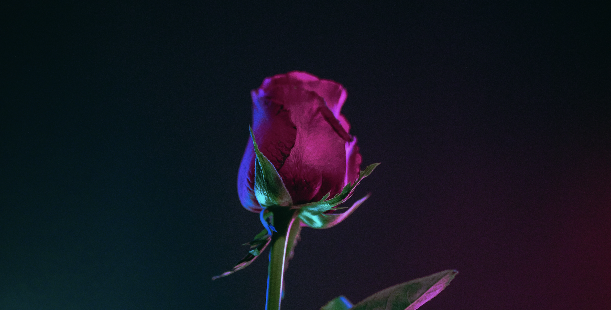 DON'T TOUCH ME THERE!