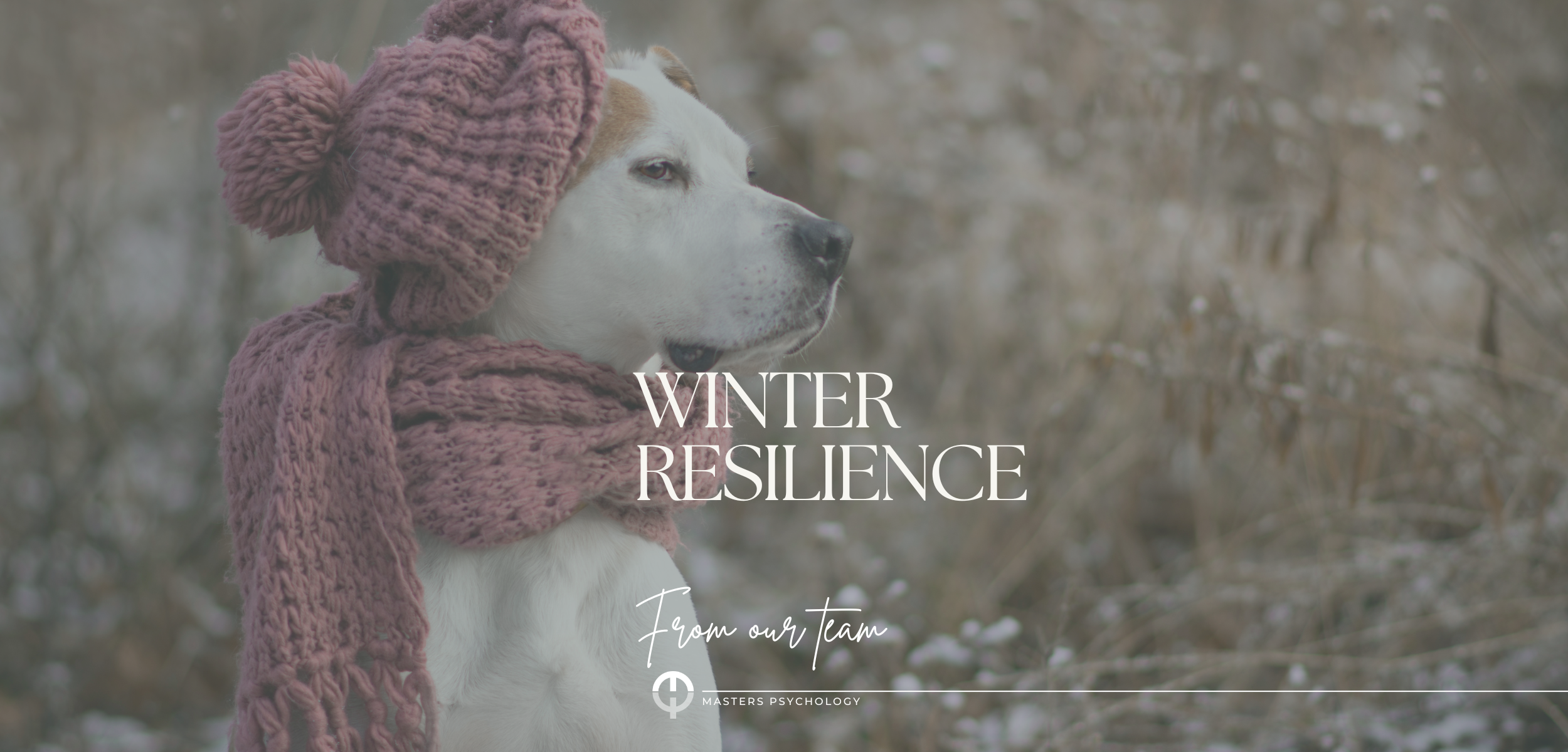 WINTER RESILIENCE