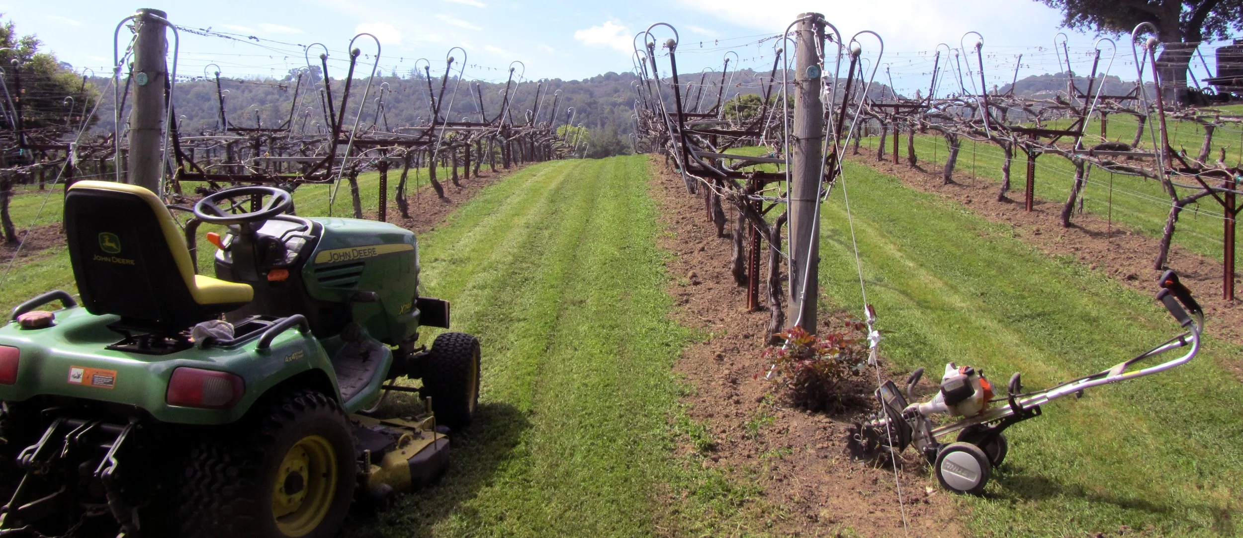 Moving & detail tilling.jpg