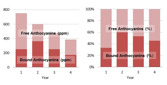 Phenolics levels during cellaring.jpg