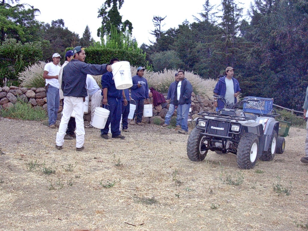 1 Mexican picking crew arrives