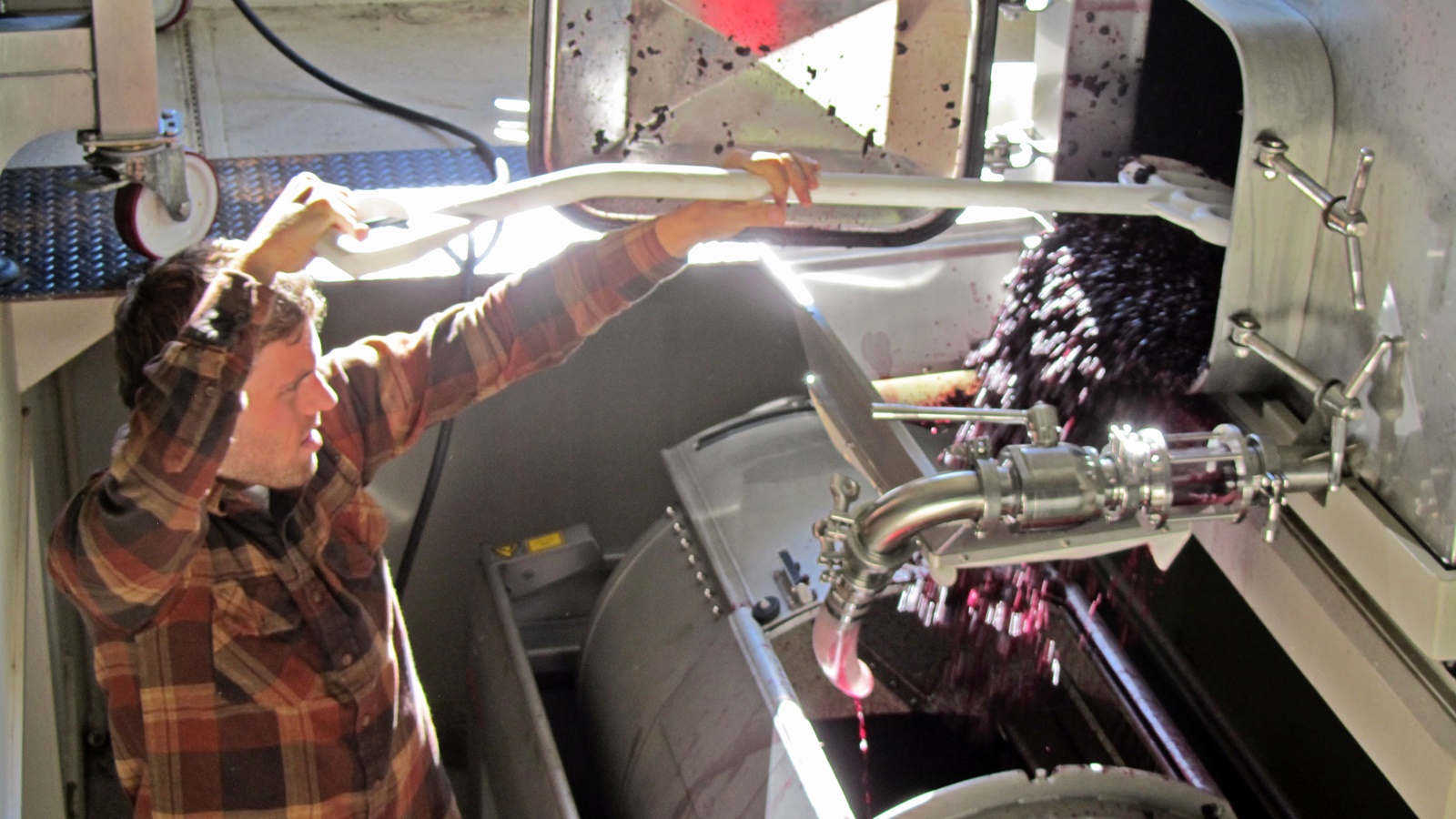 3 Aran Healy rakes the skins and seeds into the press below the fermentation tank