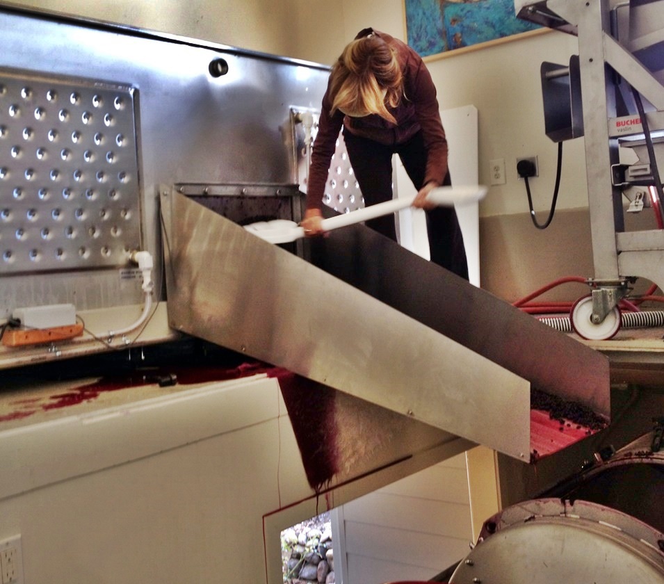 1 Donna unloading fermentation tank into press