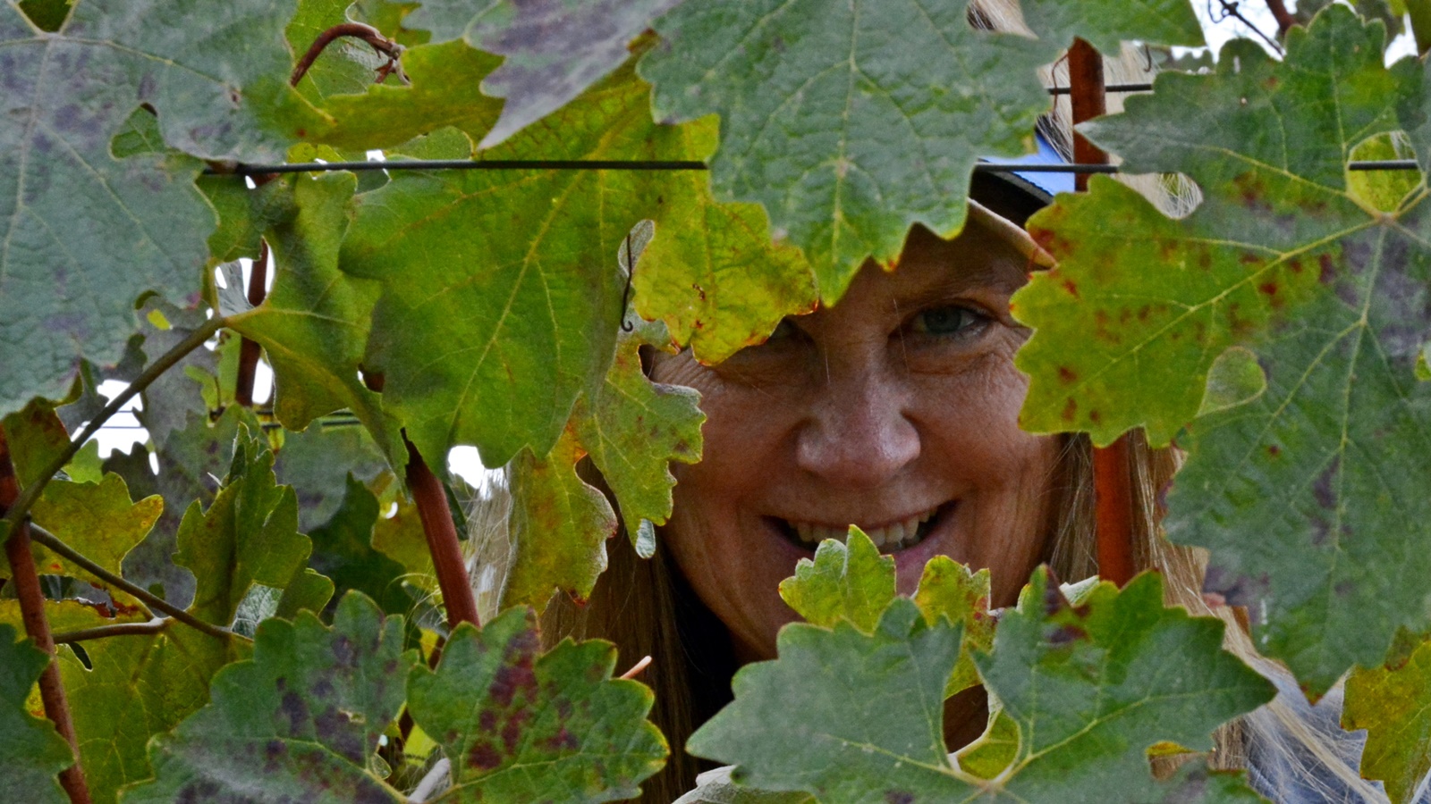 9 Andy Martin through the leaves