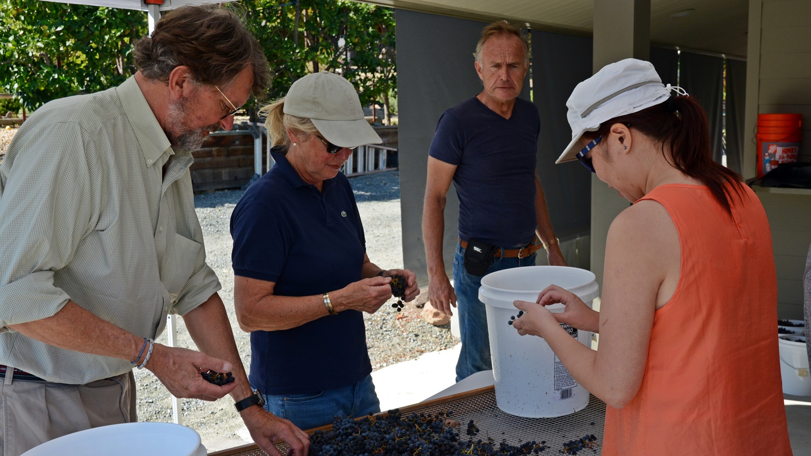 2 Florian von Meiss & Jetti Guenthard and Pearl Wong under supervision