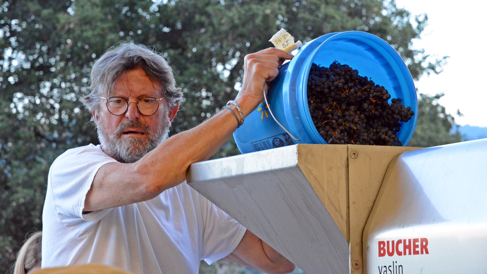 1 Florian von Meiss loads grape bunches into destemmer