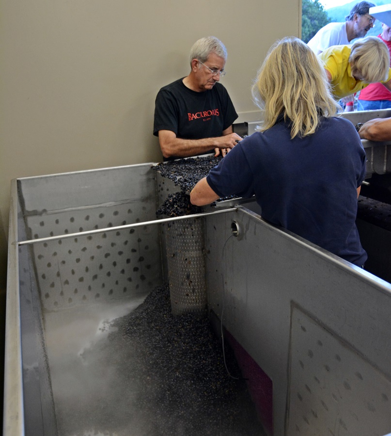 5 The berries fall into the fermentation tank over dry ice