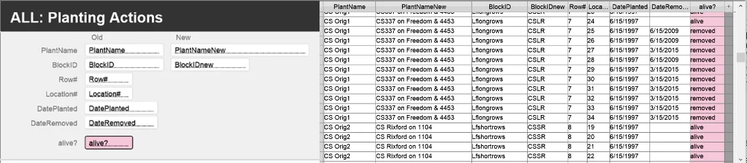AllPlanting Actions combined.jpg