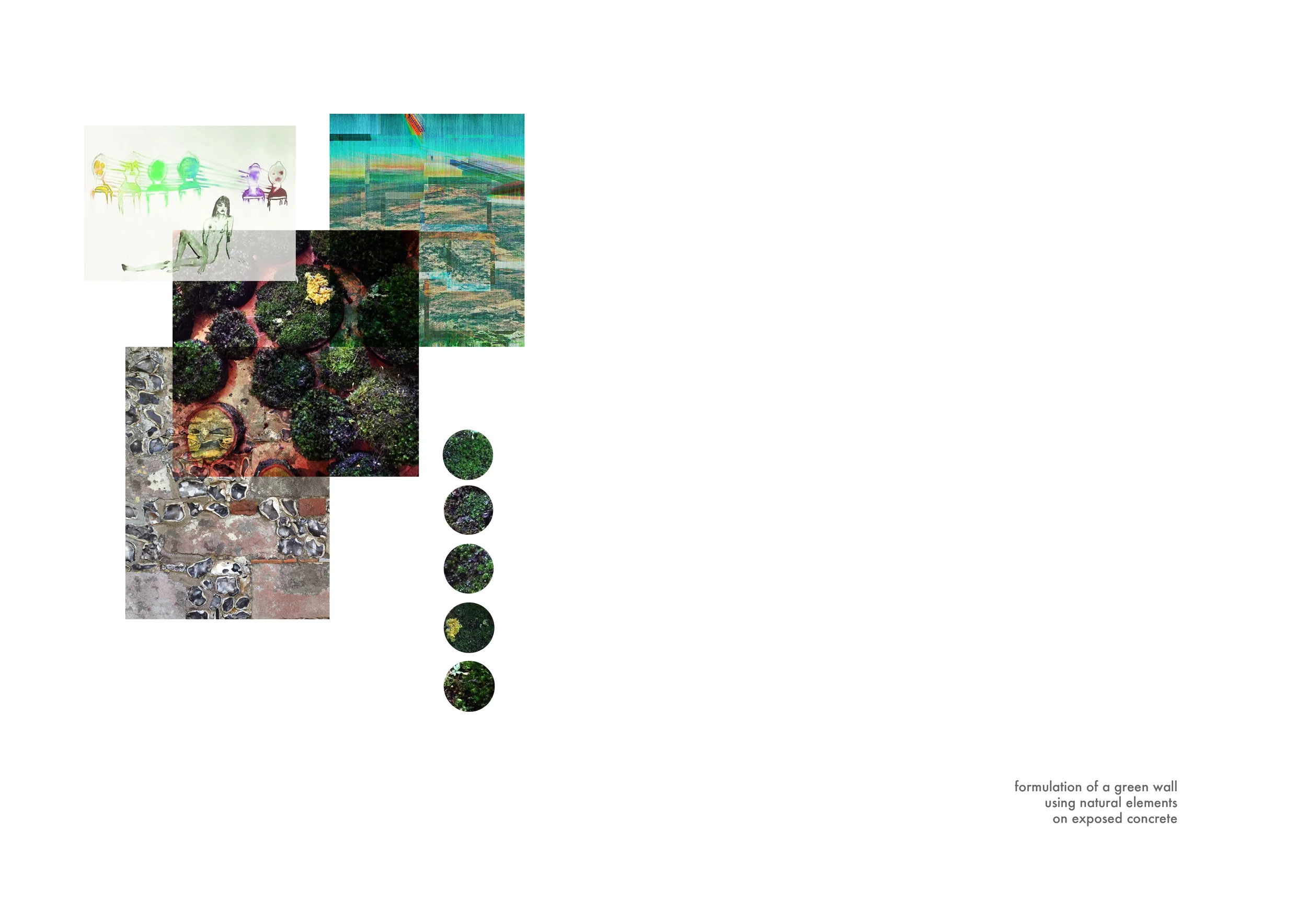 porfolio 7.jpg