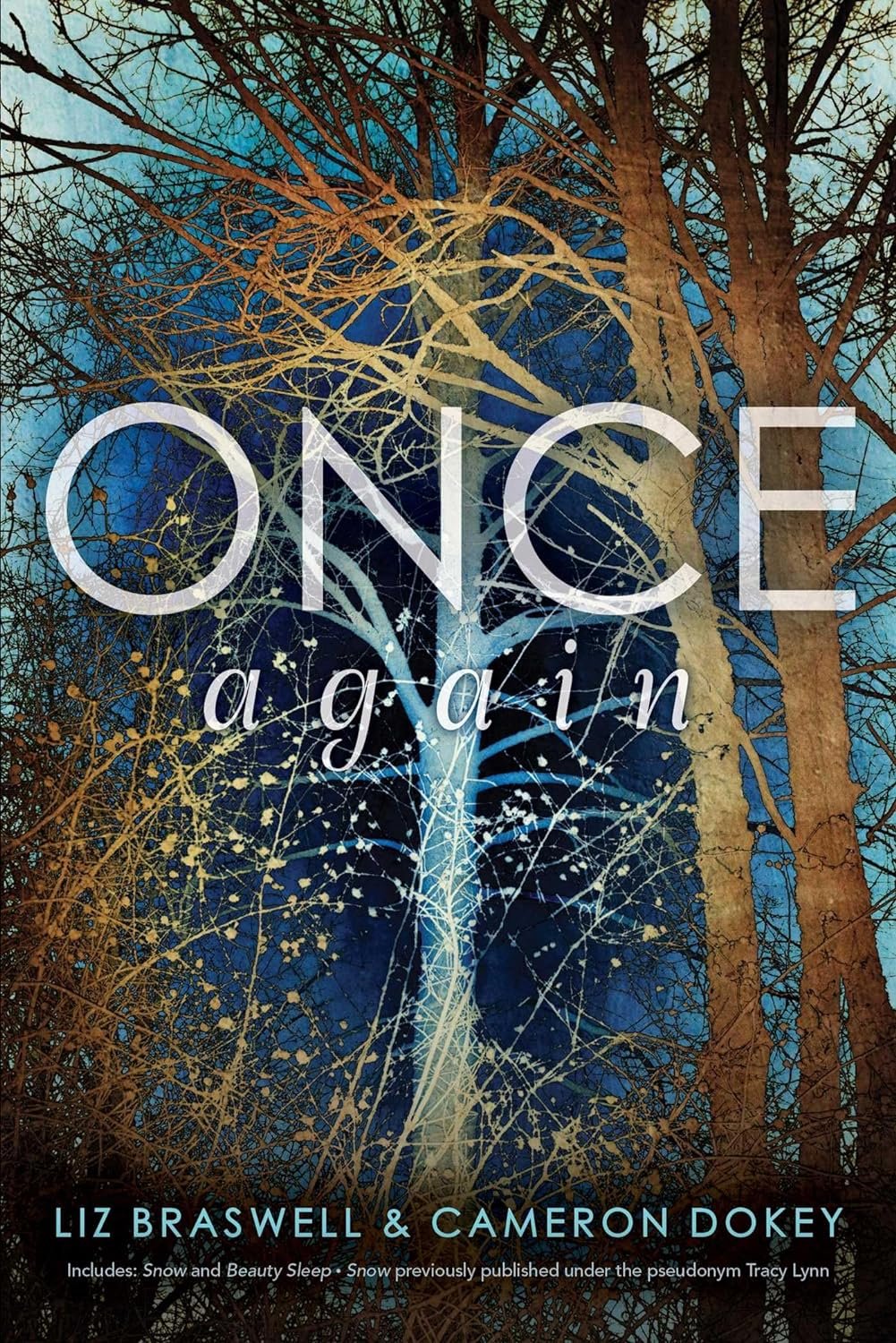 Once Again by Liz Braswell