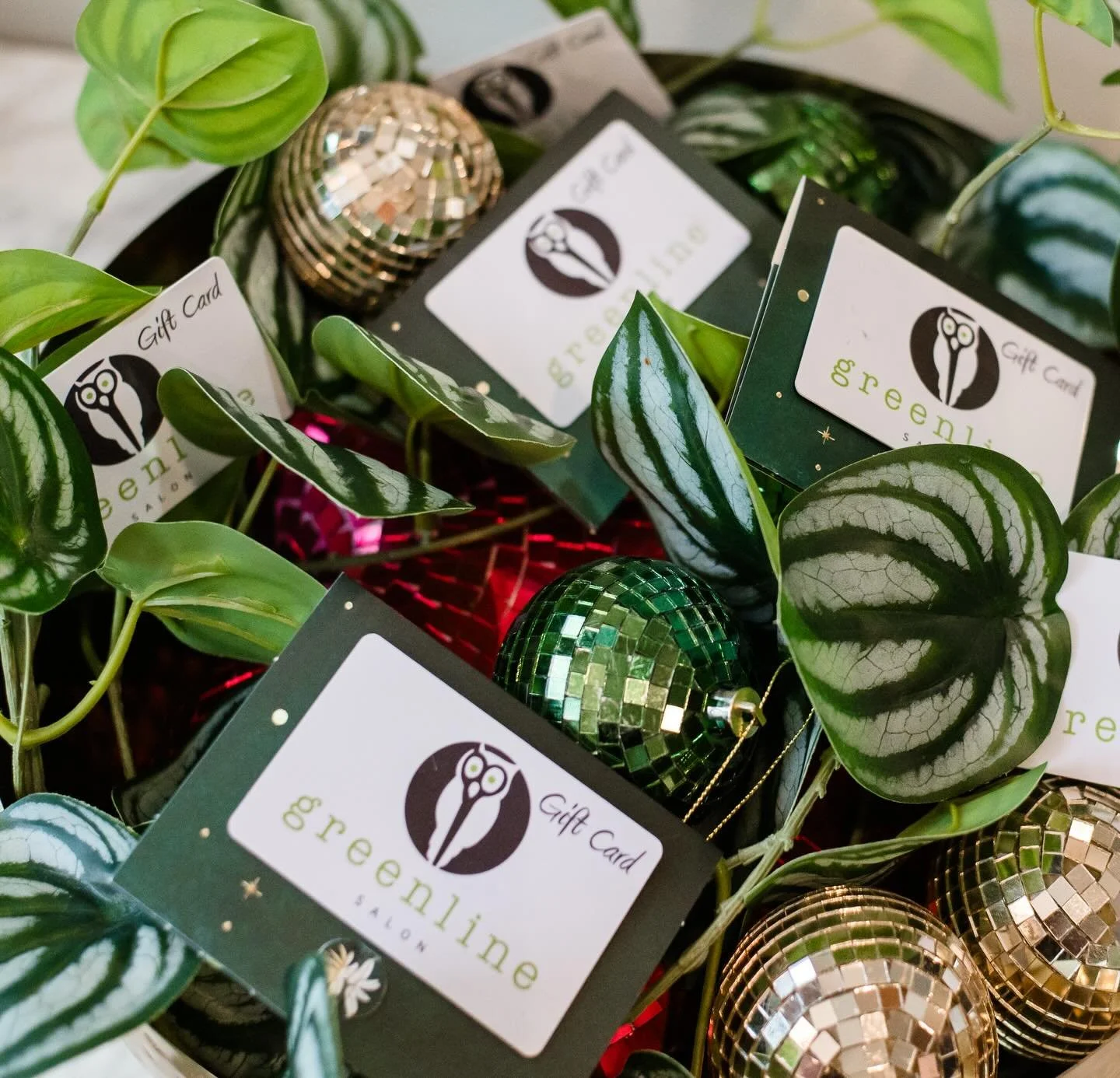 Closed Black Friday 🛍️ Open Shop Small Saturday 9a-5p + Sunday 10a-2p (retail only) 💚 25% off all retail + free gift with purchase $100+ while supplies last 🎁 Searching for the perfect gift? We&rsquo;ve got you covered.
✨ Greenline Gift Cards ✨
💌