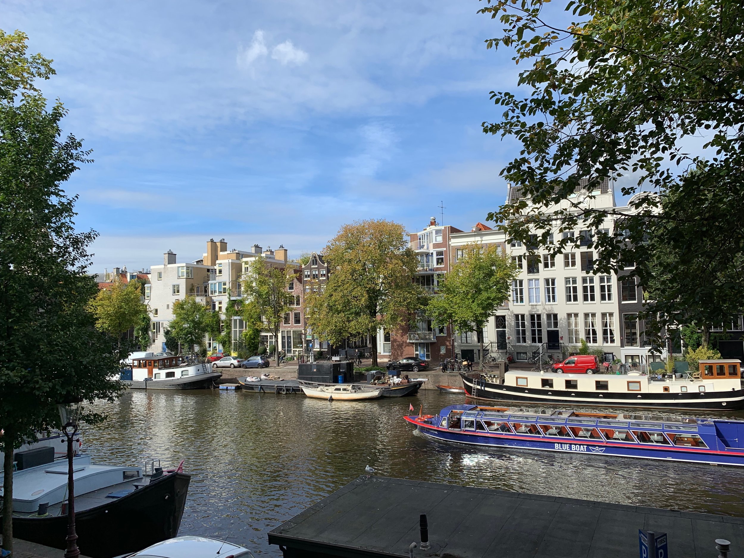 Our view for the week.jpeg