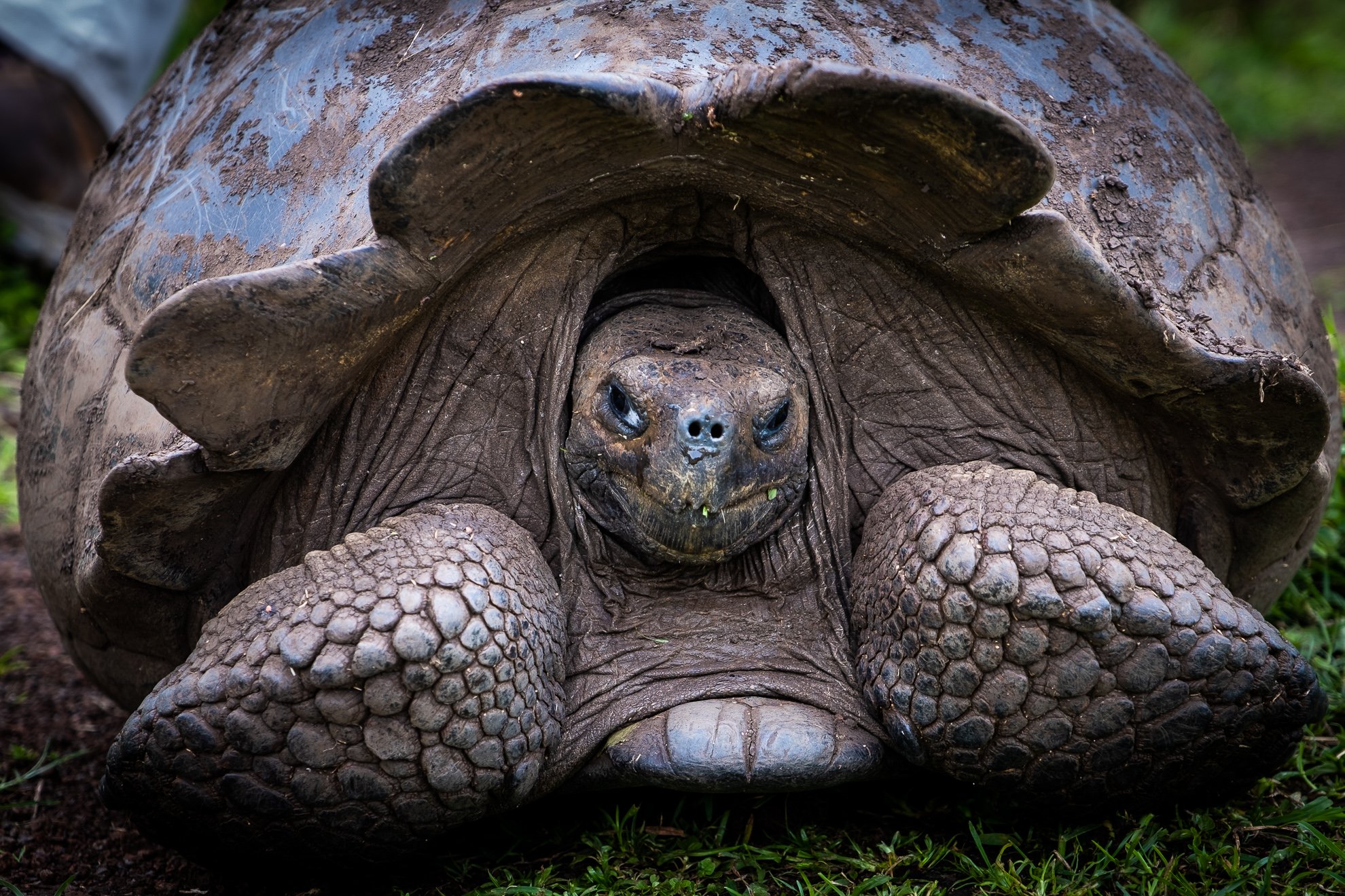   Photos from our liveaboard cruise in the Galapagos in 2021.  