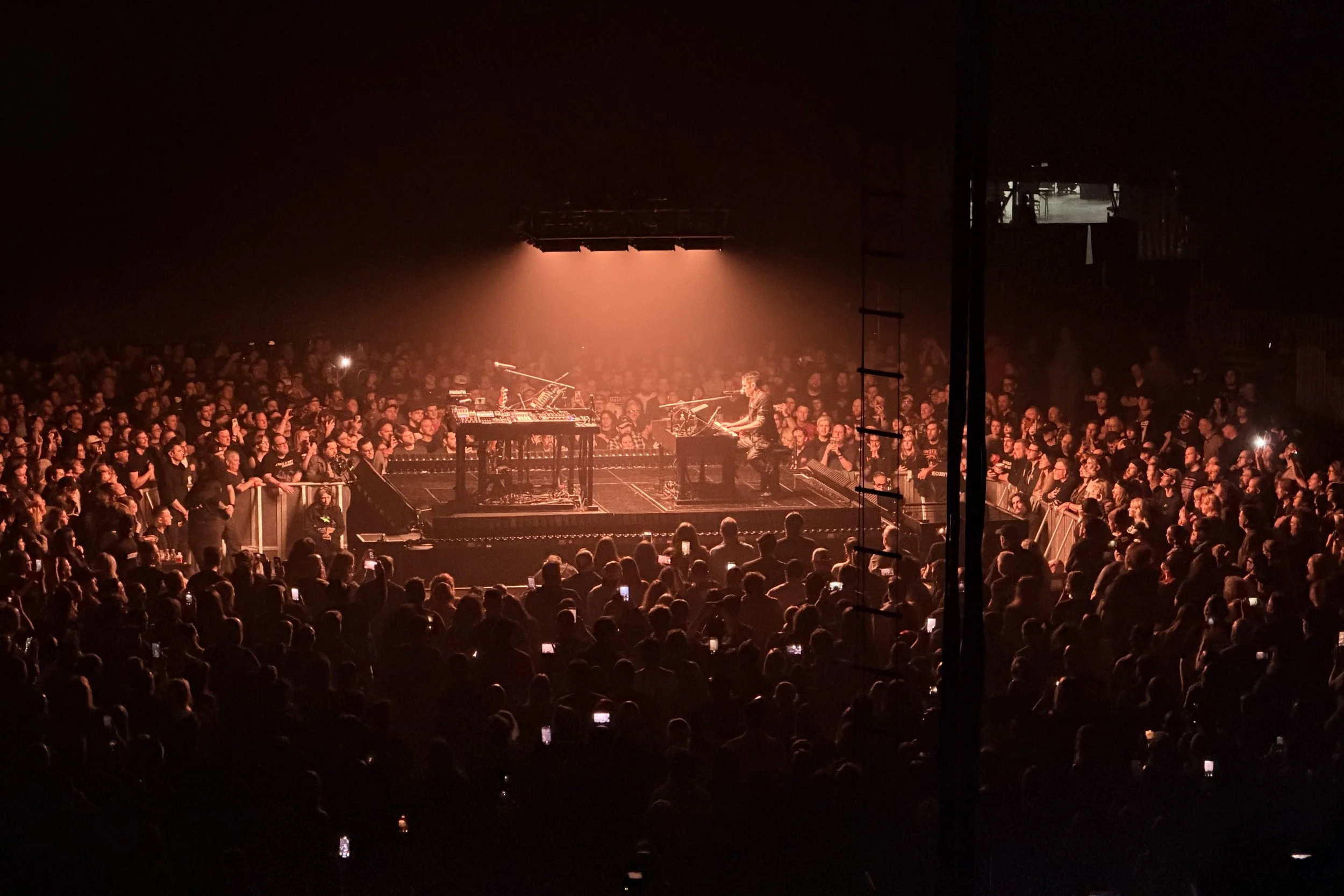 Peel It Back Charlotte