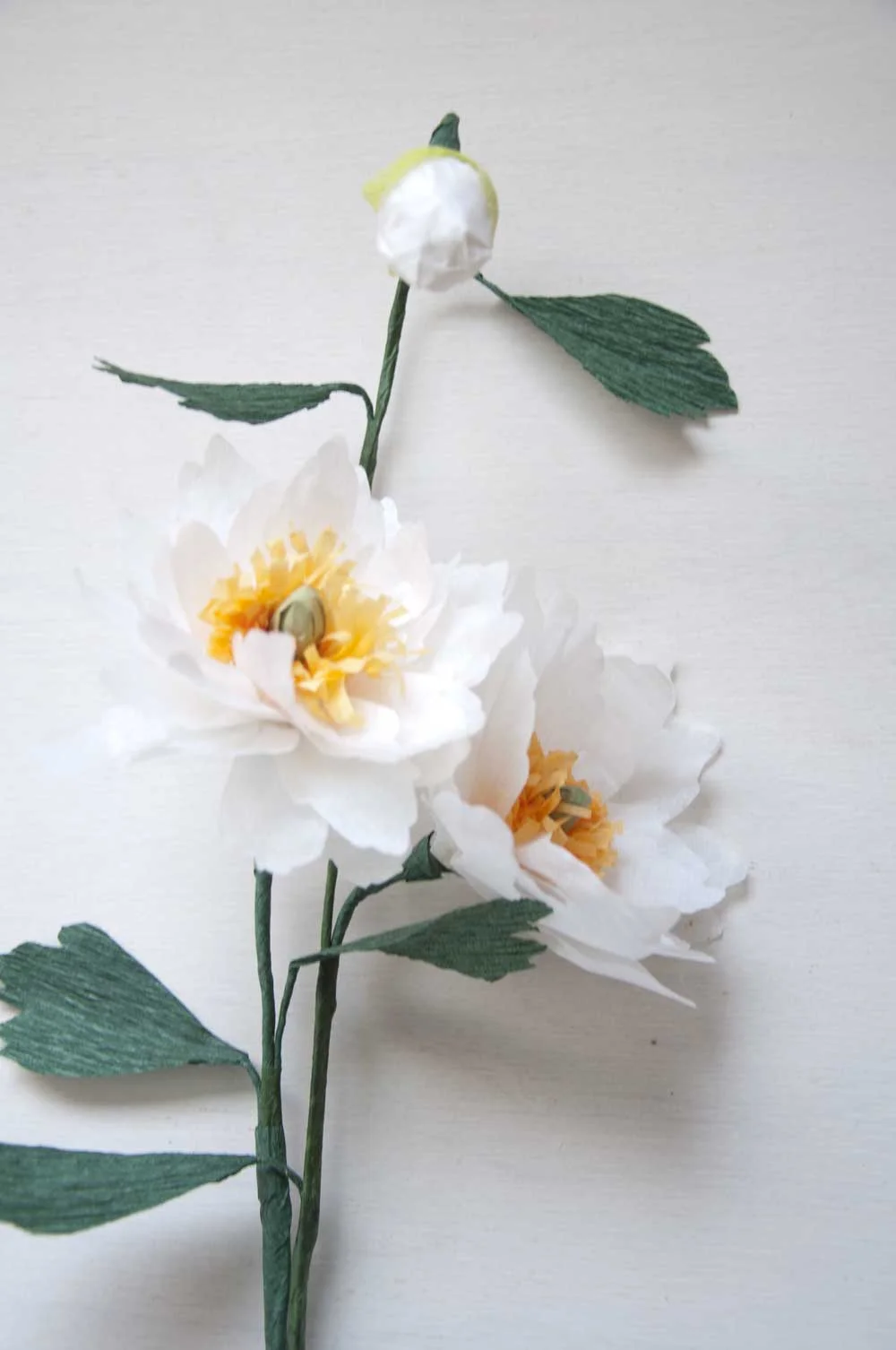 Paper Flower Workshop