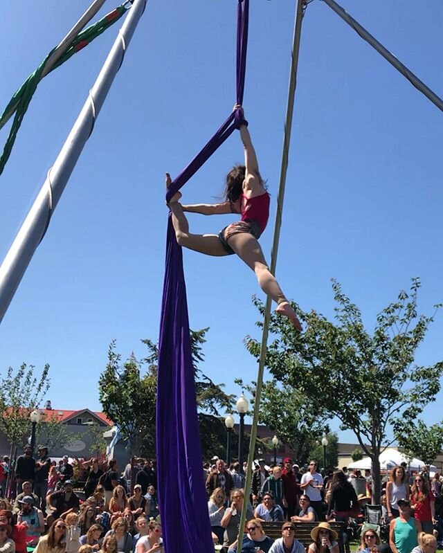 How about this beautiful split from our fearless leader @lesliecastellano ! Missing these gatherings on the Arcata Plaza. 🤩  #synapsisnova #synapsis #performanceart #aerialsilks #silks #aerialist #aerialsoutdoors