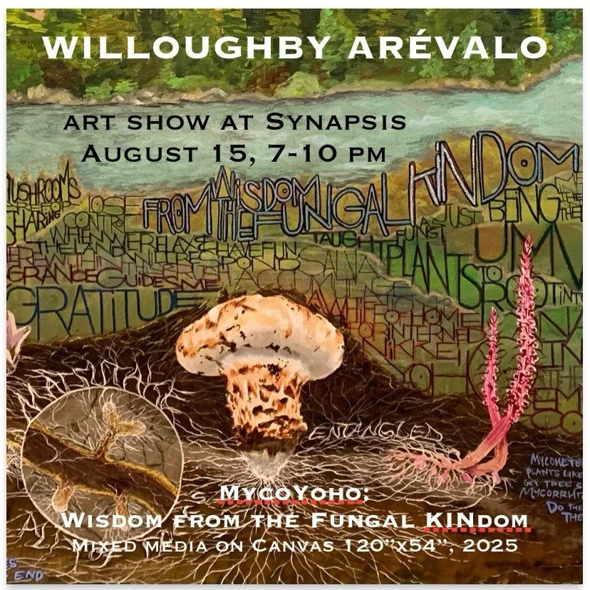 Art showing tonight with Willoughby Ar&eacute;valo: MycoYoho: wisdom from the fungal kingdom
Saturday, August 15
7-10 pm
With Samantha creating sonic environments on digital synthesizer
Synapsis: 1675 Union Street, Eureka
There will be some soup too!