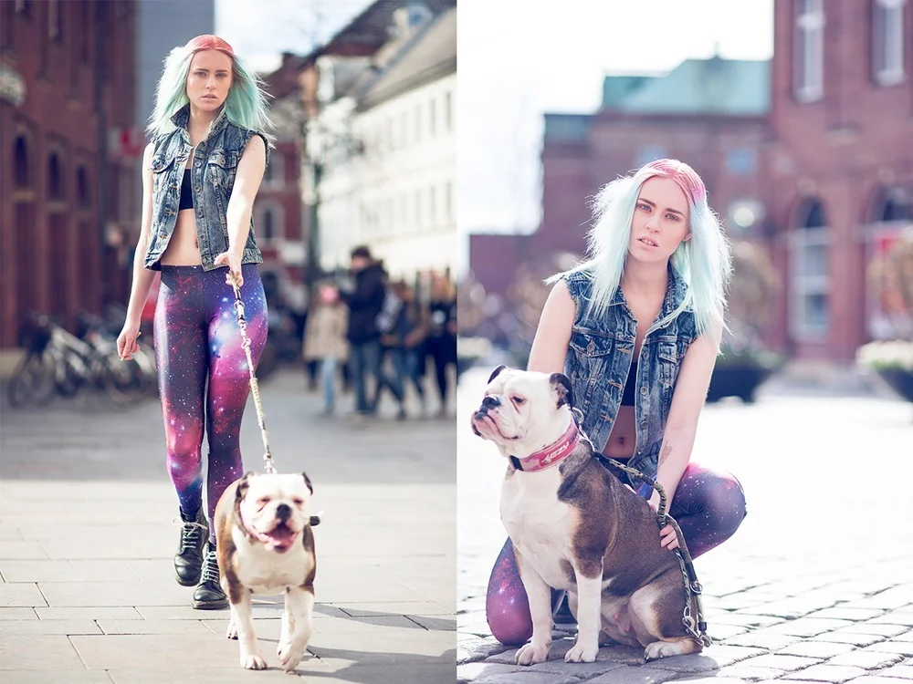 kill-hund.jpg