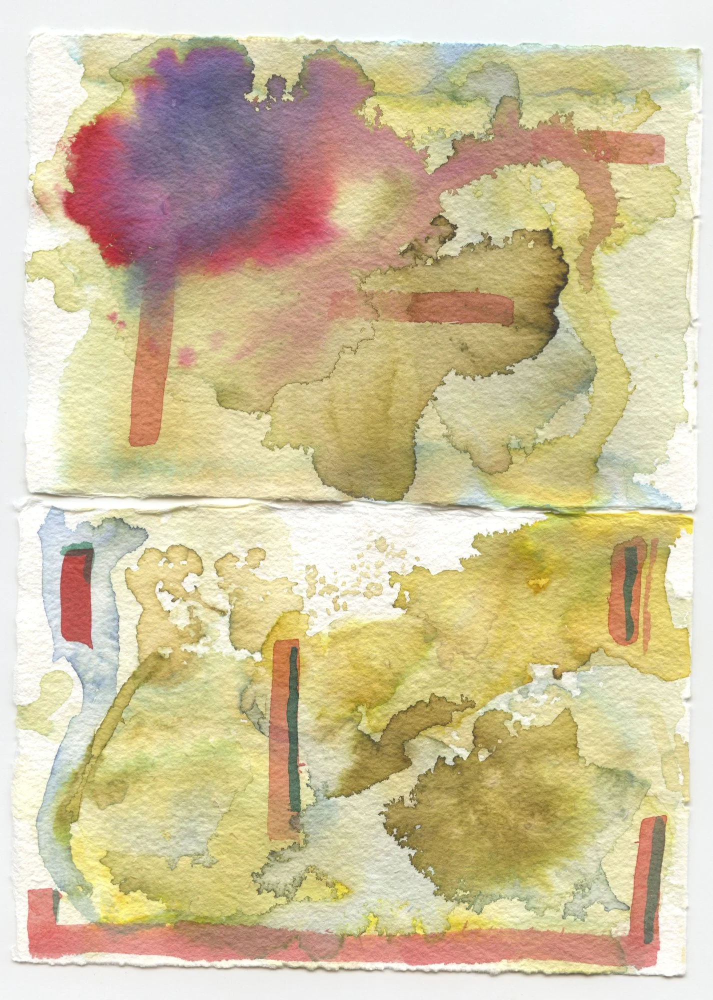 IMages_RA4watercolor_.jpg