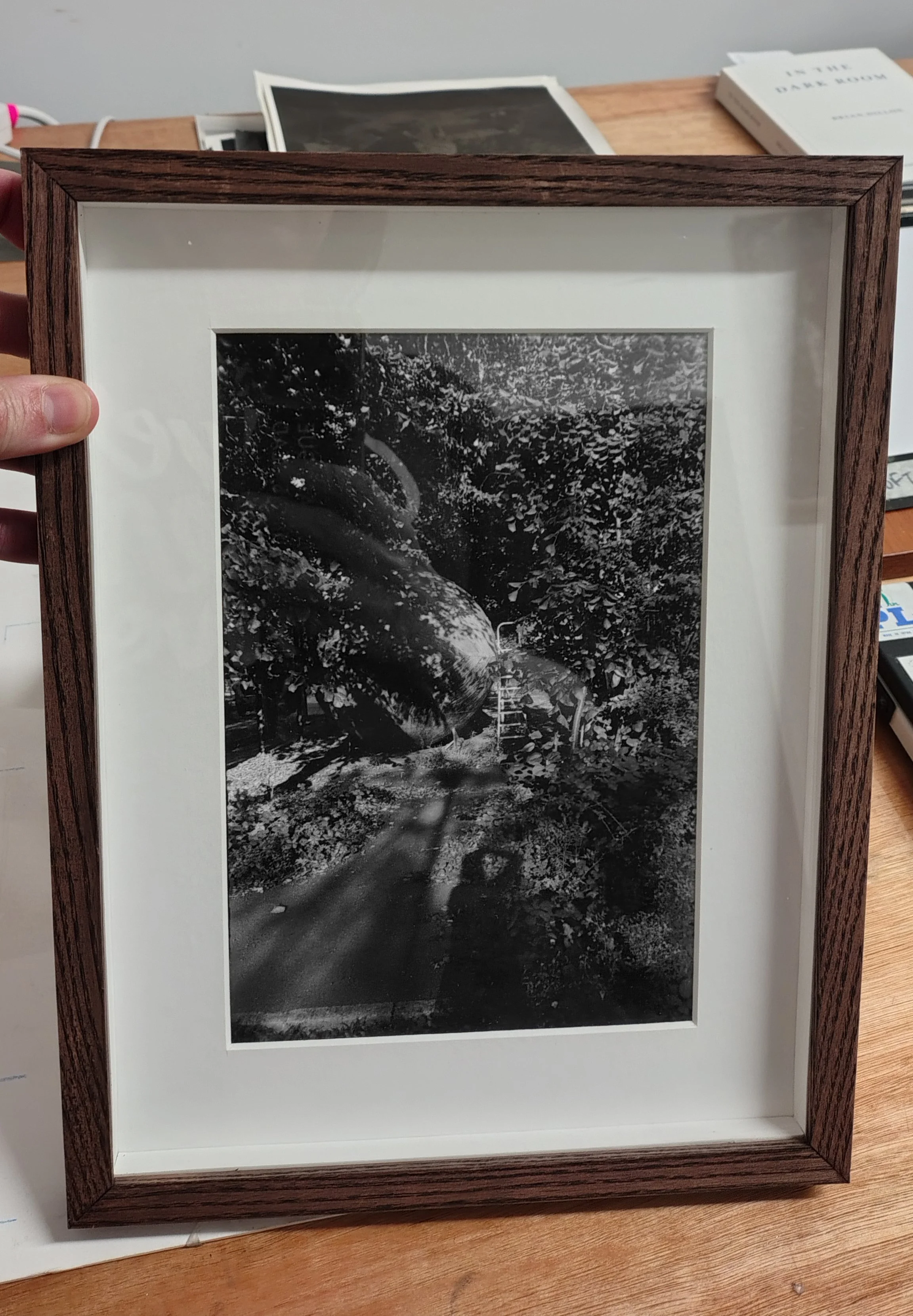 framed_3.jpg