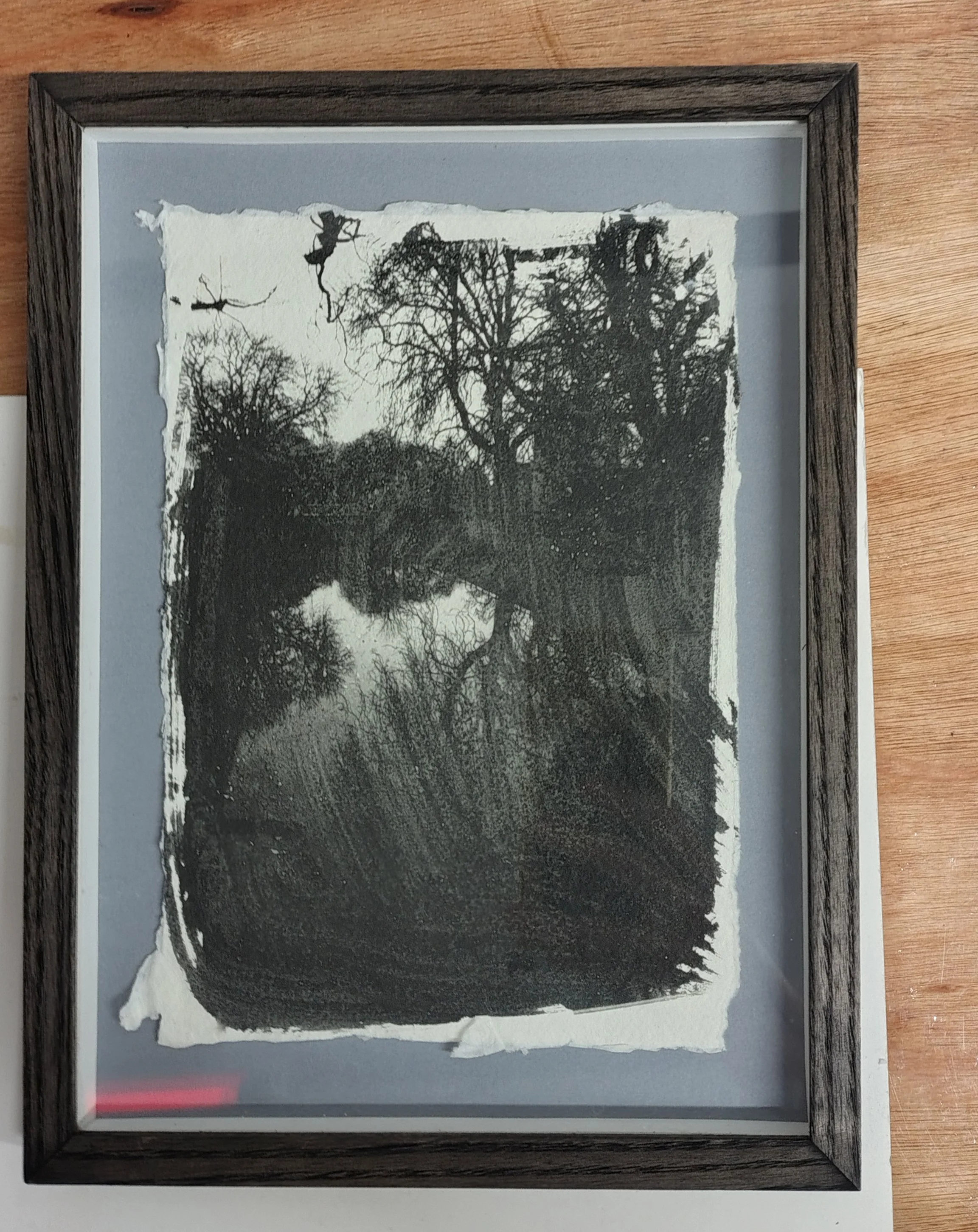 framed2_.jpg