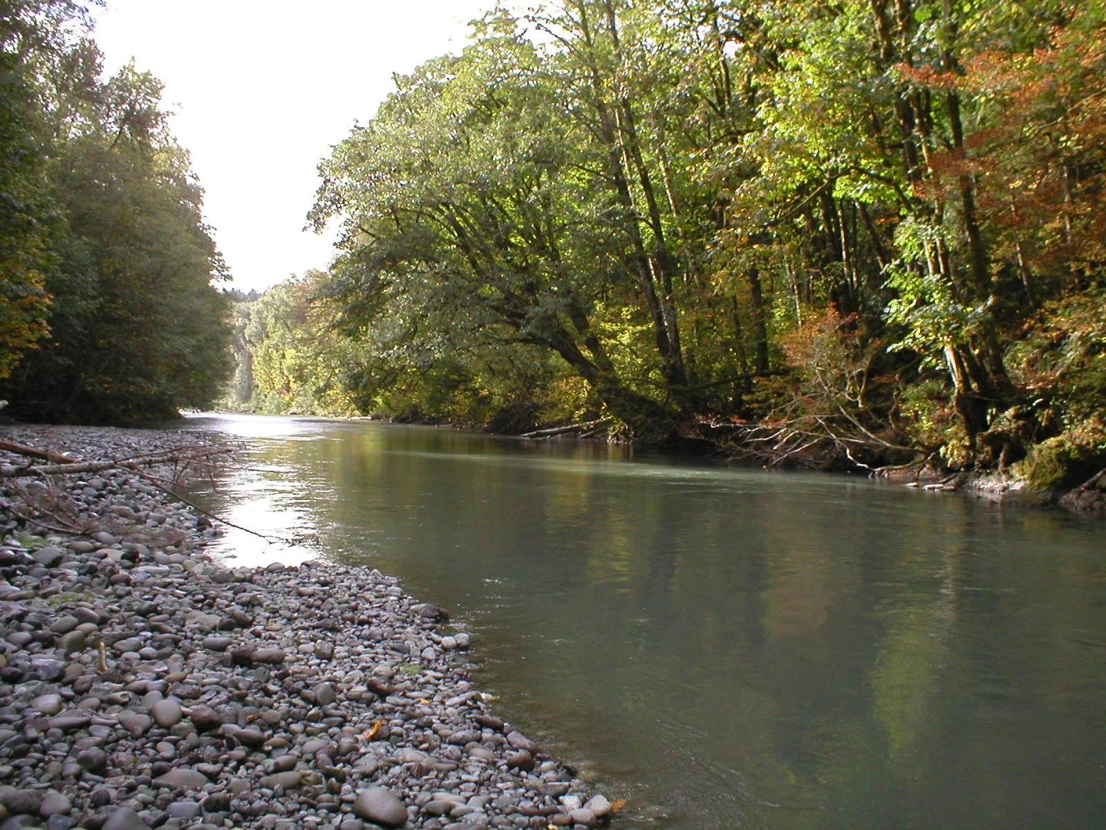 WRIA 16/14b Rivers & Streams Impairment Analysis, Mason & Jefferson Counties