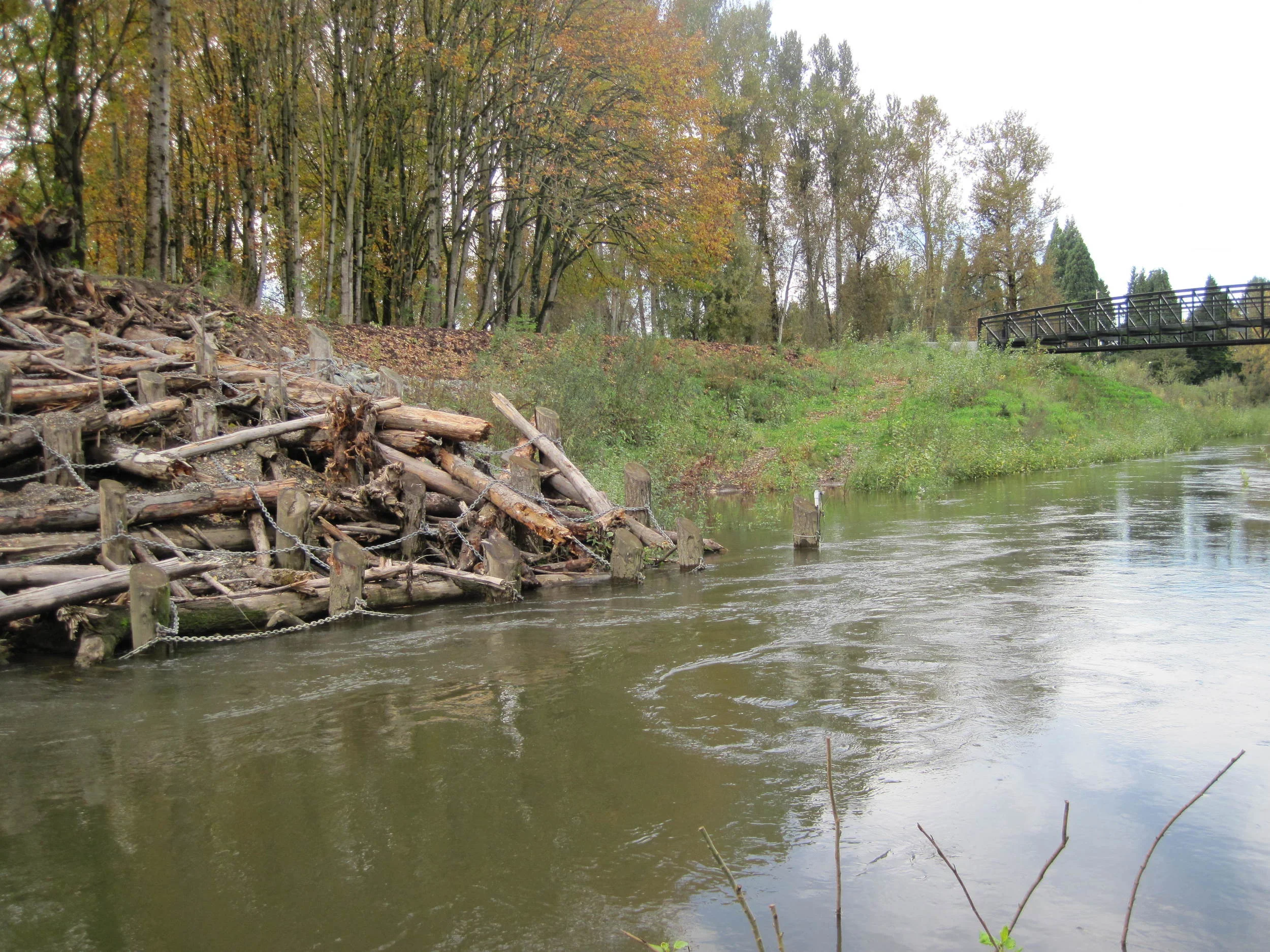 Green River - Lower Russell Road Levee Setback Project