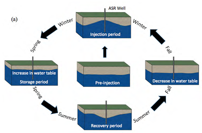 Figure 1. ASR System Cycle Source: www.groundwatergeek.com