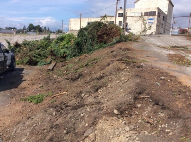 The hill of soil that historically served as a street onramp.