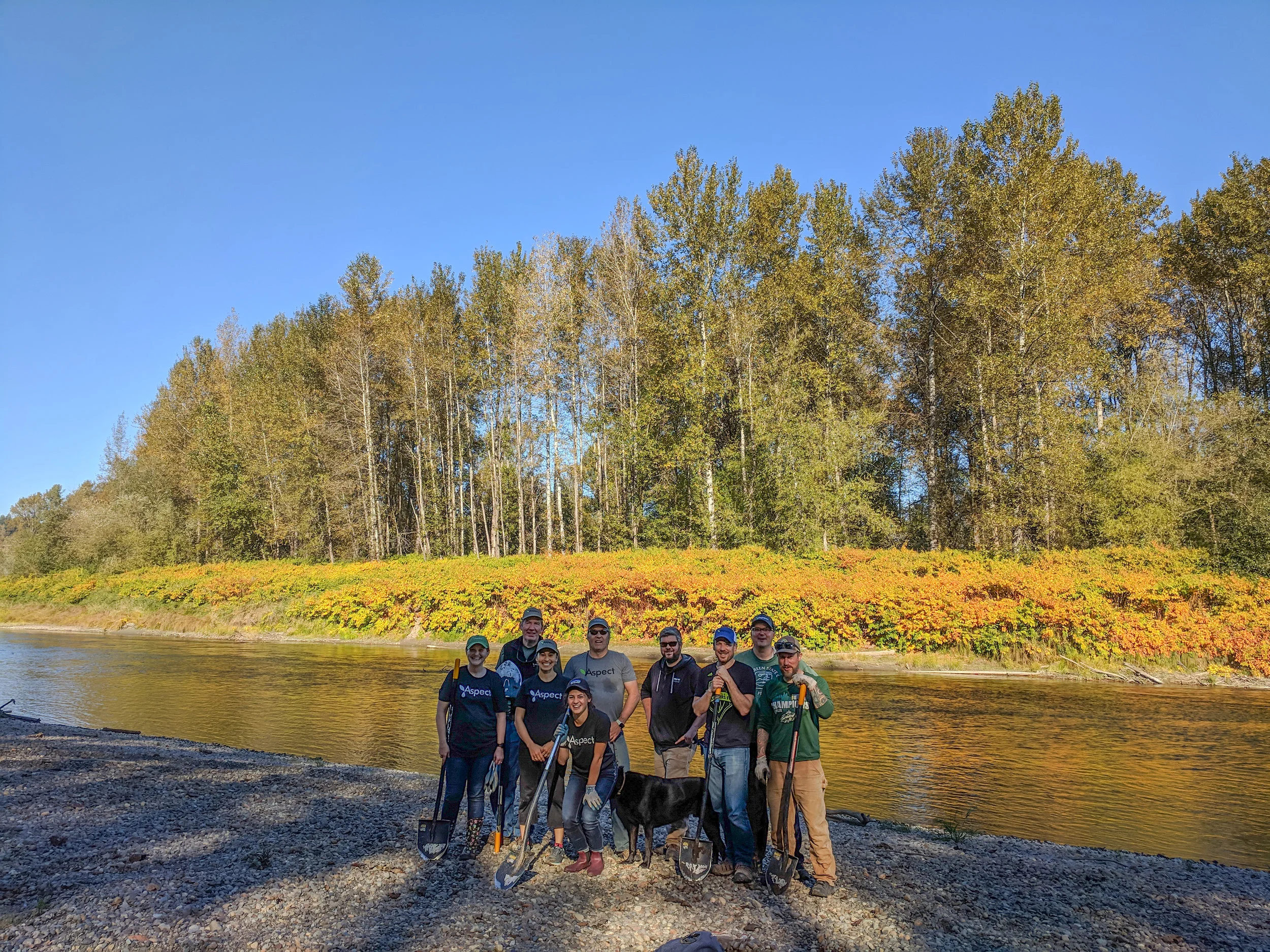 Aspect’s volunteer staff donated their day to plant over 900 trees along the Snoqualmie River to help Stewardship Partners and Carnation Farms.