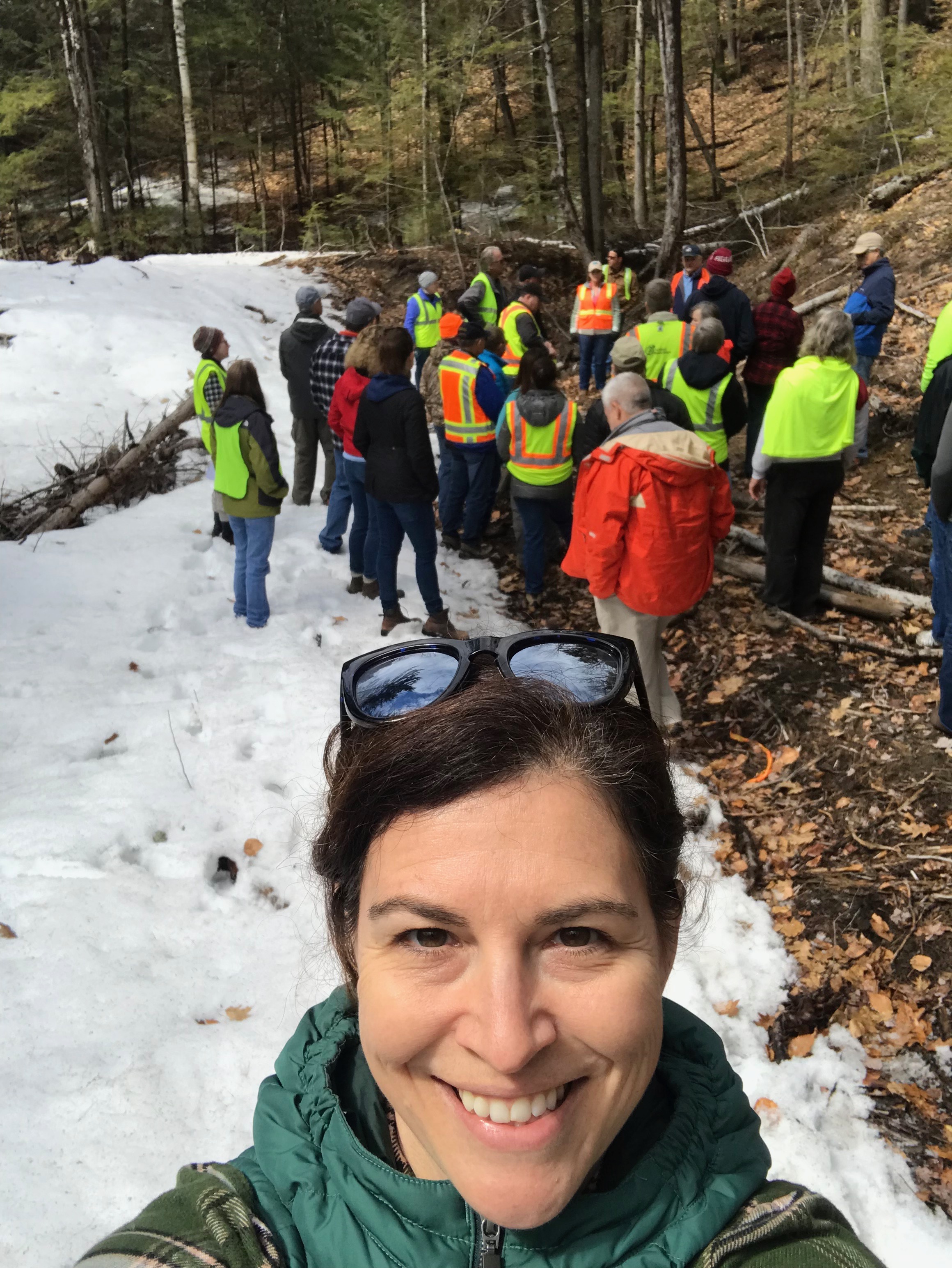 Geologists ogling an outcrop in central New Hampshire.