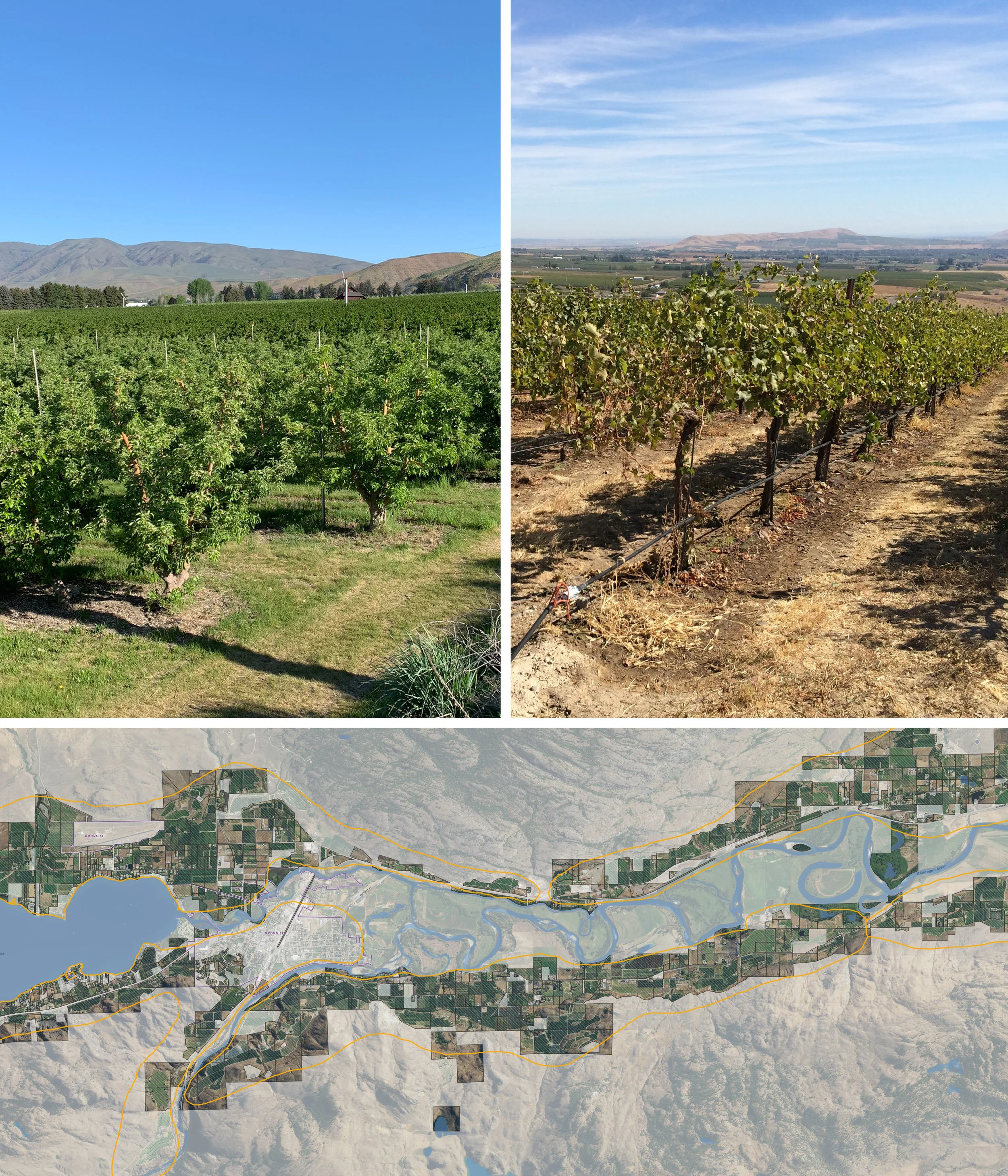 Side Photo Compiled.jpg