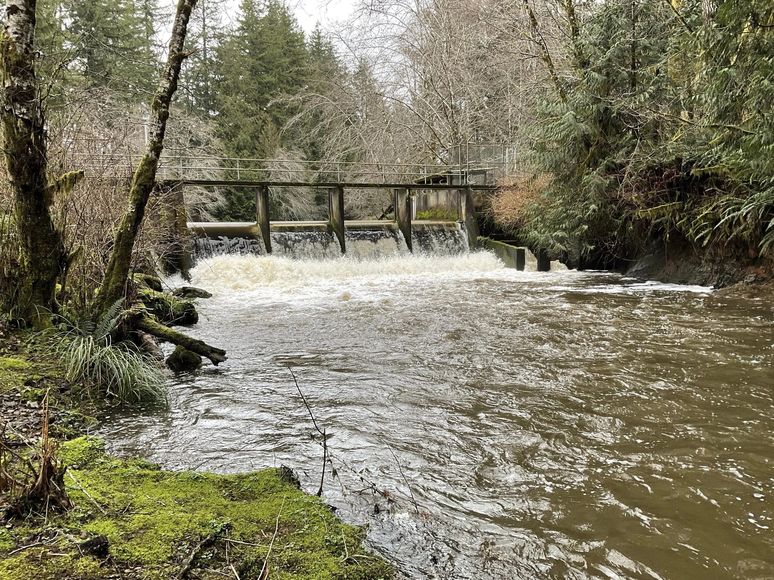 New Grant Funds Help Fuel Fish Passage for City of Hoquiam — Aspect