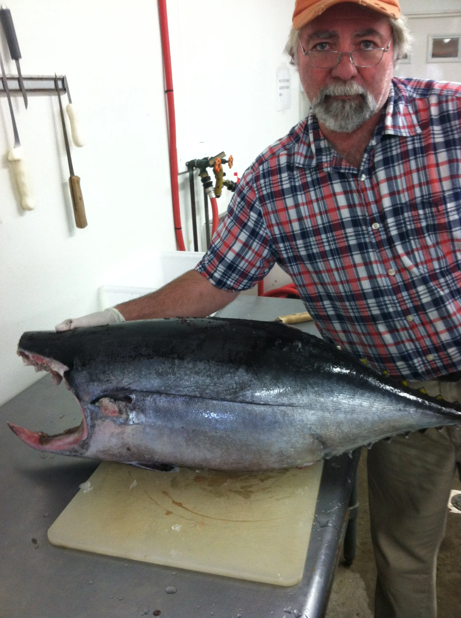 Albacore.jpg
