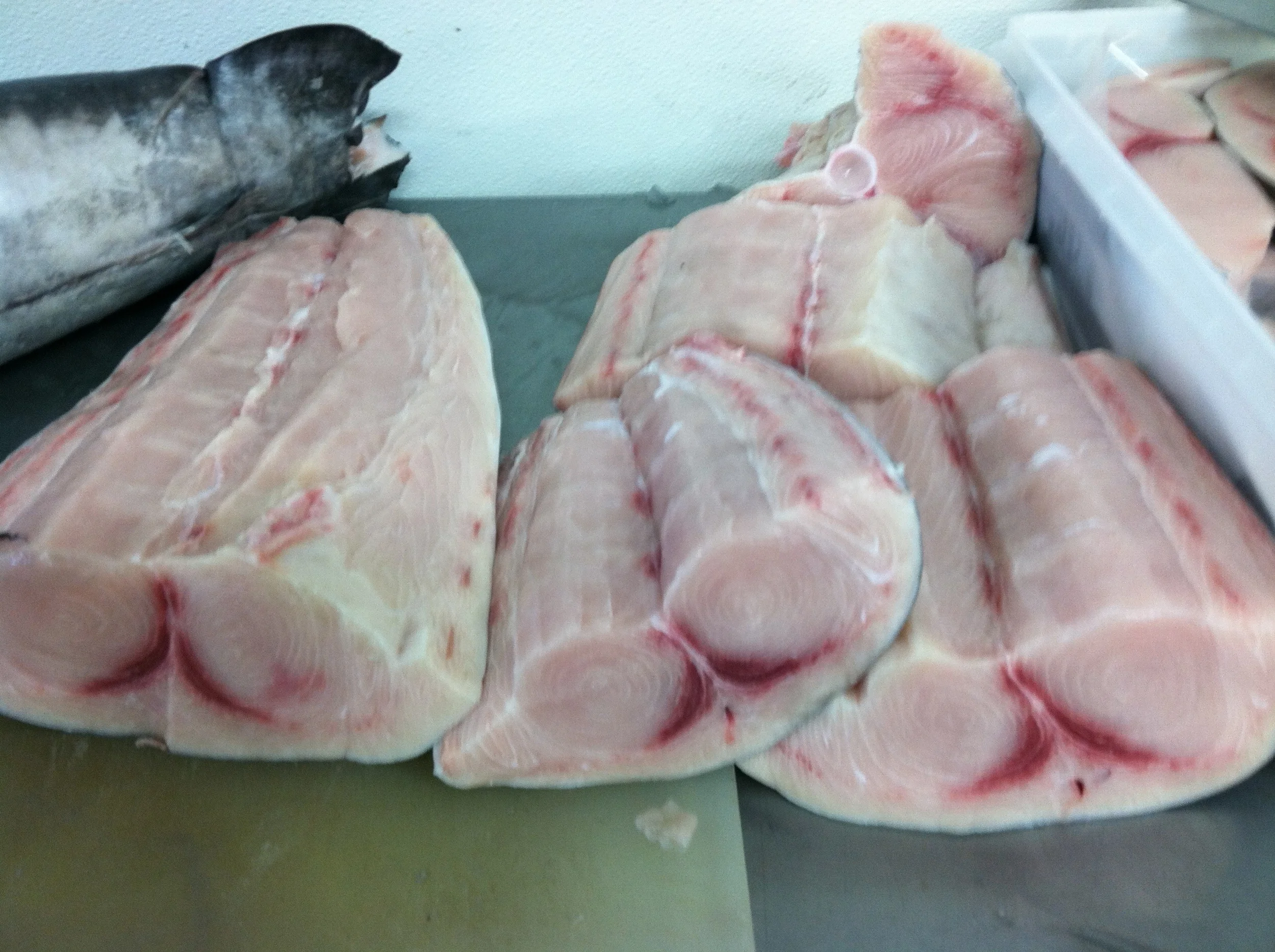 Swordfish — The Local Catch, Inc.™ The Best Rhode Island Seafood!