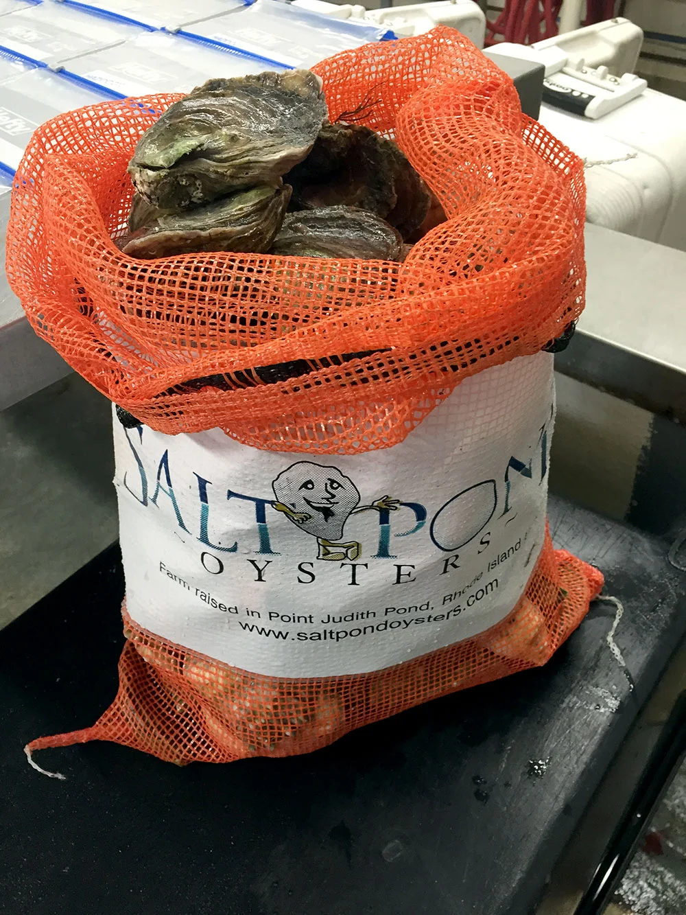 oysters valentines day 1.jpeg