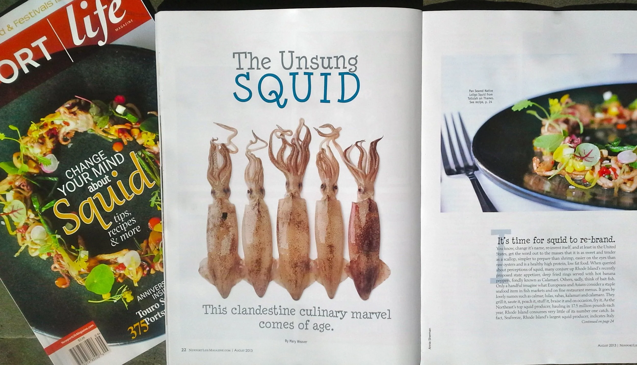 Unsung Squid Article.jpg