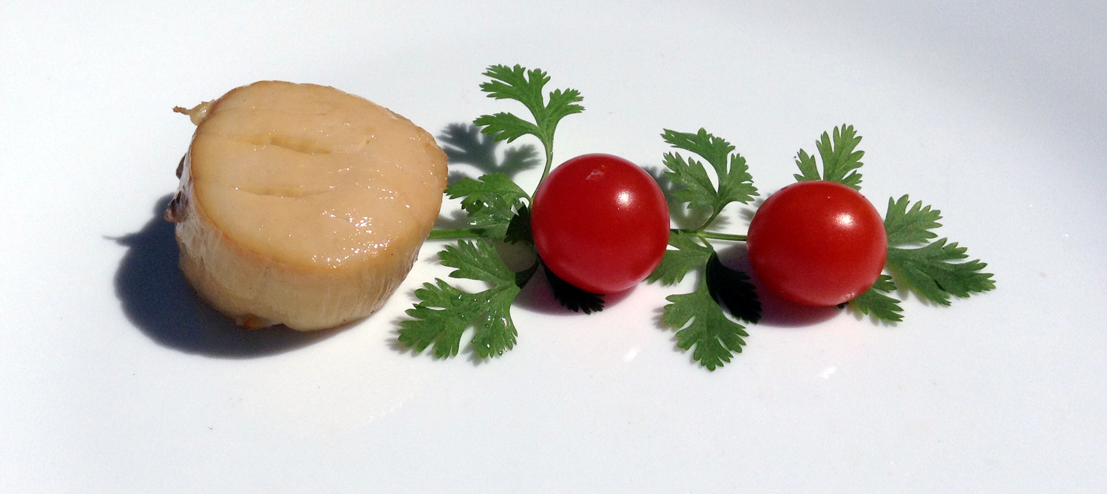 smoked scallop 1.png