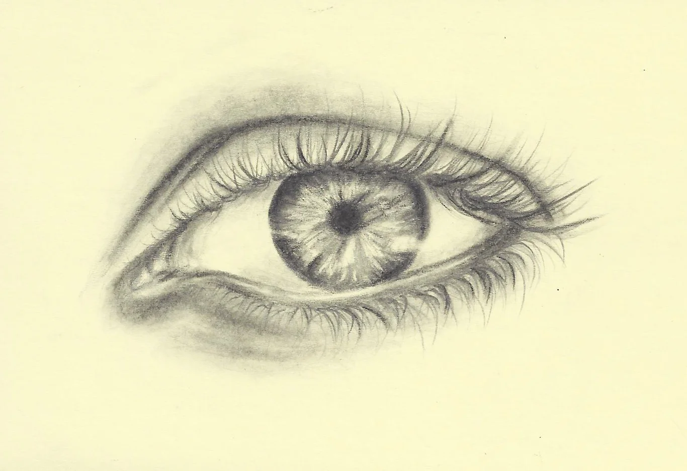 Eye Pencil/Charcoal