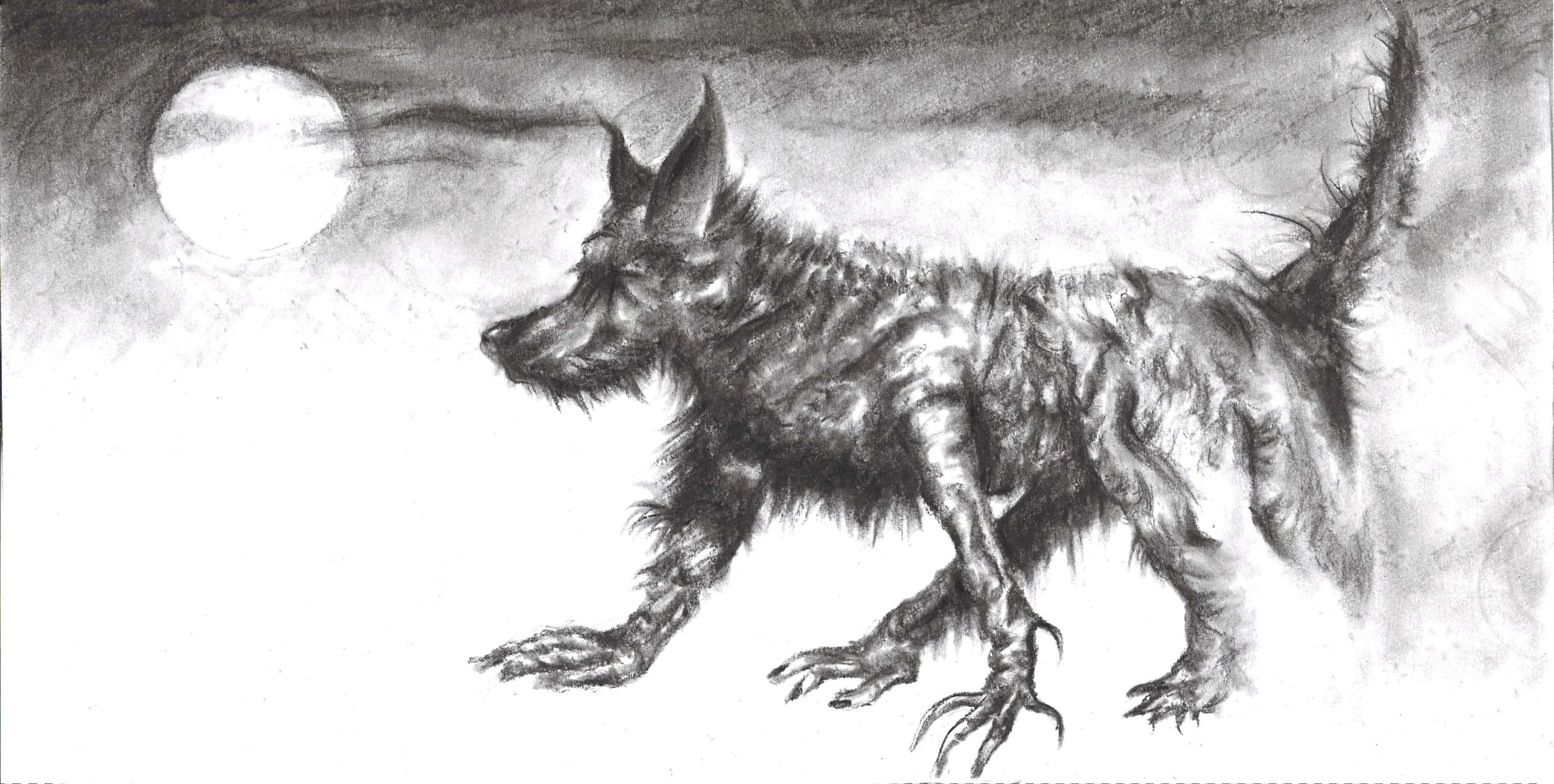 6 black dog.jpg