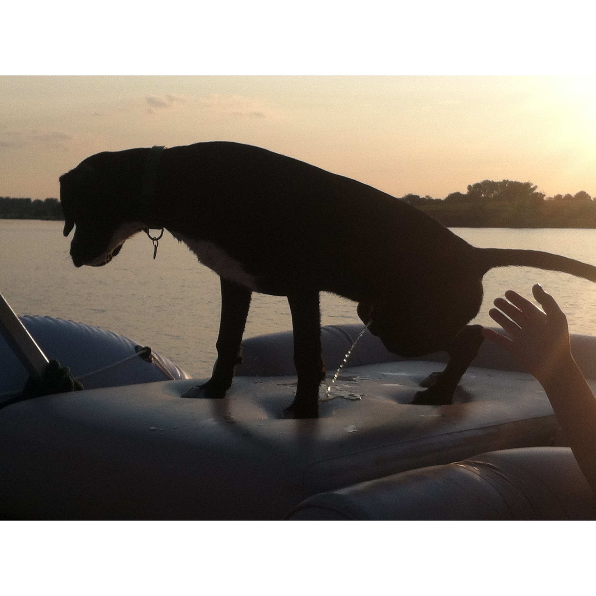 The Perfect Sunset