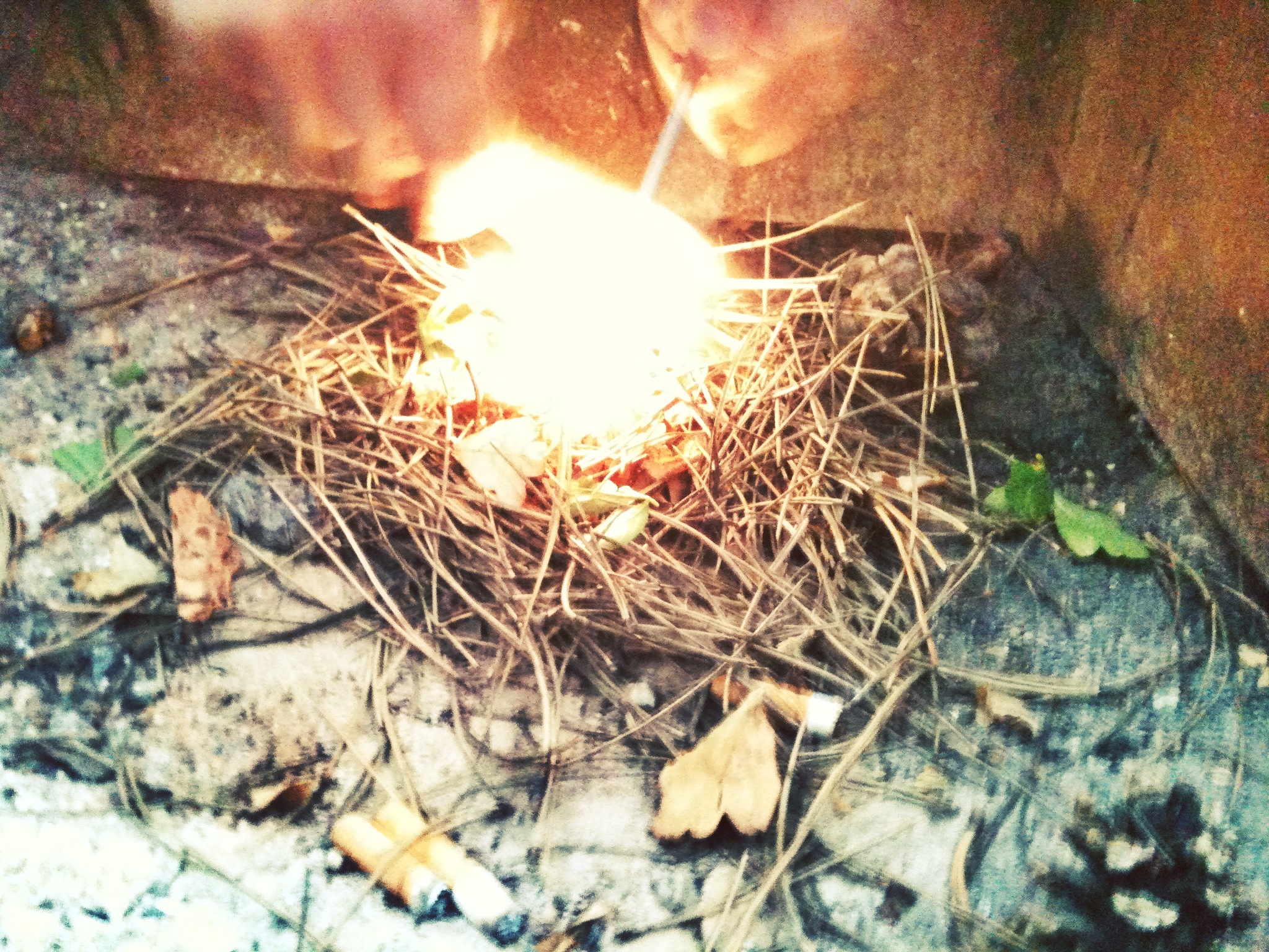 Fire Starter