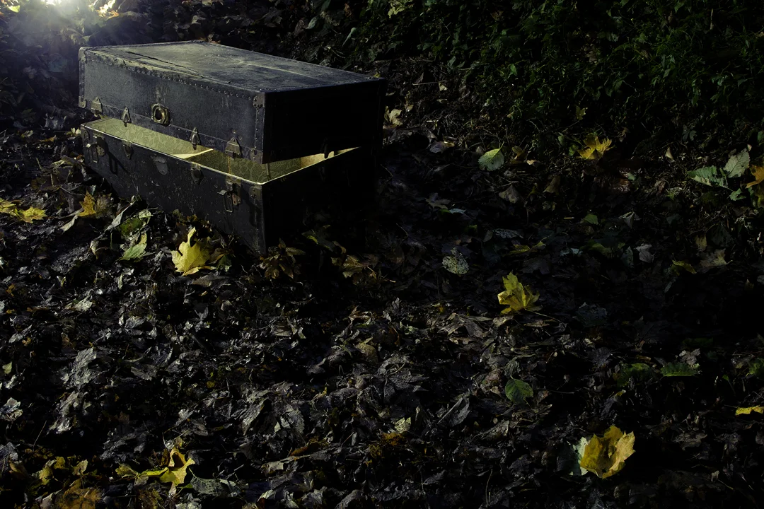Lindsey Rickert, "Item #7...Trunk", from Evidence , 2012. 