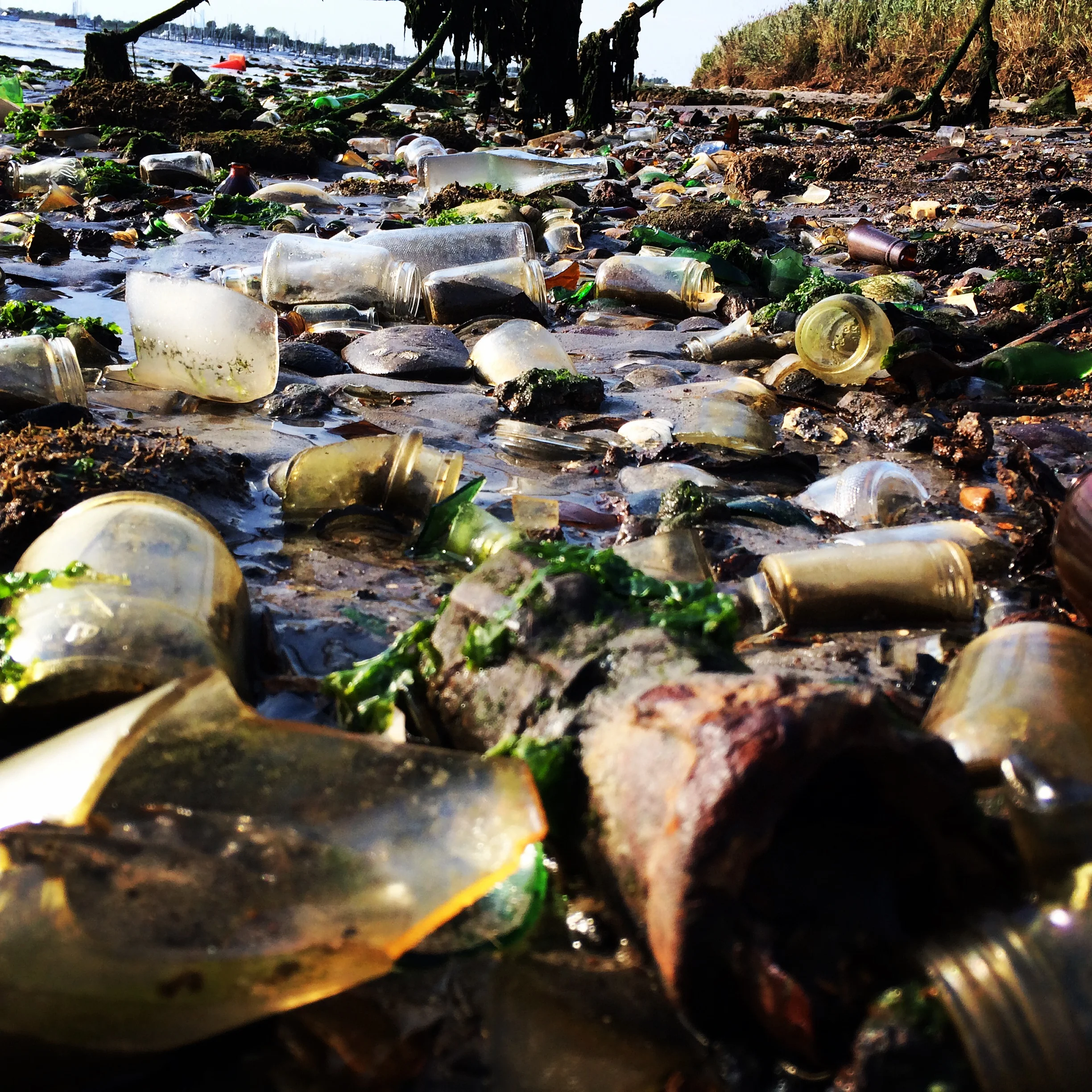 They took me to Dead Horse Bay a magical wonderland of lost treasures. From what Mick & Christina told me, the bay used to be a landfill. When they were clearing out ghettos to make room for more expressways, much of the trash was dumped here. It also was the landfill for a near by medical facility. What remains is literally thousands of bottles, many broken but many still in tact. As the tide rolled in, you could hear the glass clinging against each other and making a beautiful sound. I collected a ton of tiny vintage bottles. It is amazing to think that some of these bottles have survived the harsh weathers and remained whole for almost 100 years. Mick even found an old glass pill bottle that still had the pills in it. I could have stayed here for hours searching through the remains. Apparently, people also find parts of old porcelain dolls but we weren't so luck on our trip. I might have to try one more time before leaving.