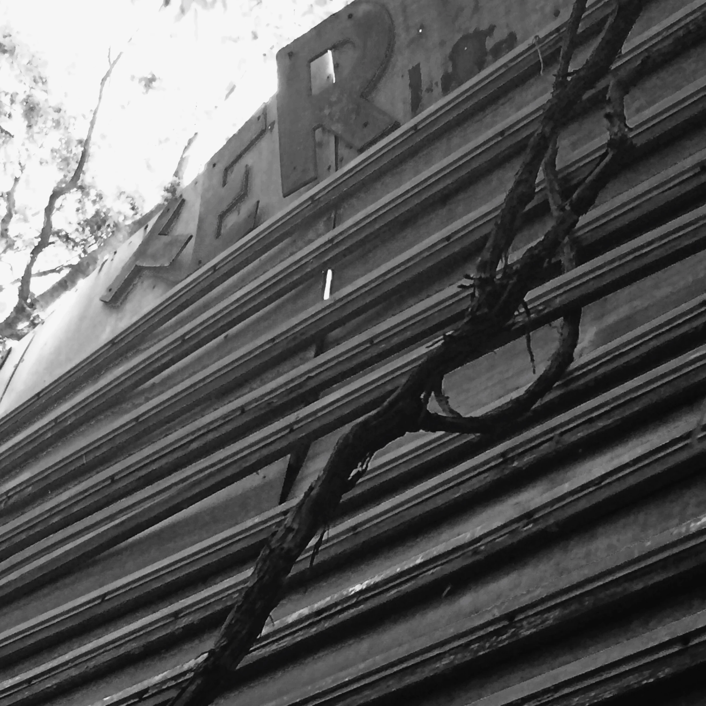I went to Rockford, IL the following day to visit another drive-in theater. This one had a fence and was starting to look like I wasn't going to get much from it until I went behind the marquee that was covered in trees and looked up to see the letters holding on by a thread. 