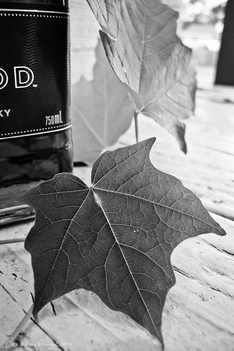 Collingwood 21 Year Old Rye Canadian Whisky — BOURBON GUY