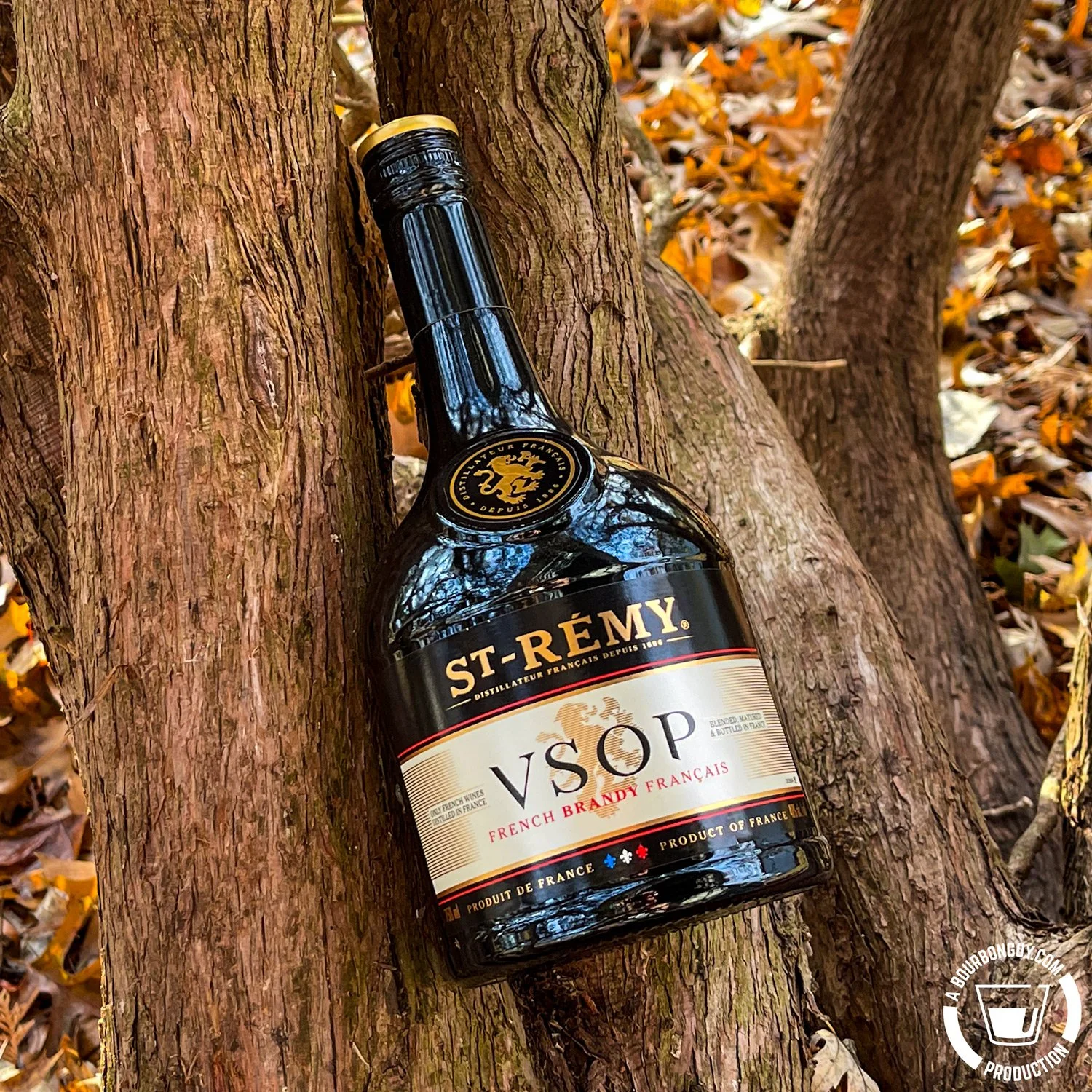 My Wandering Eye: St-Rémy VSOP French Brandy — BOURBON GUY