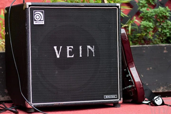 VEIN PERFORMING